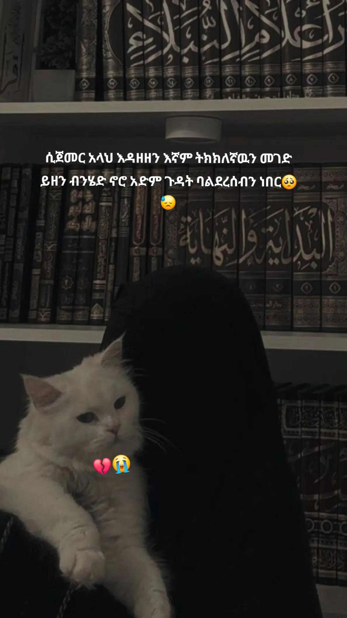 @❥𝐈 à𝐦 𝐌𝐮𝐬𝐥𝐢𝐦❝