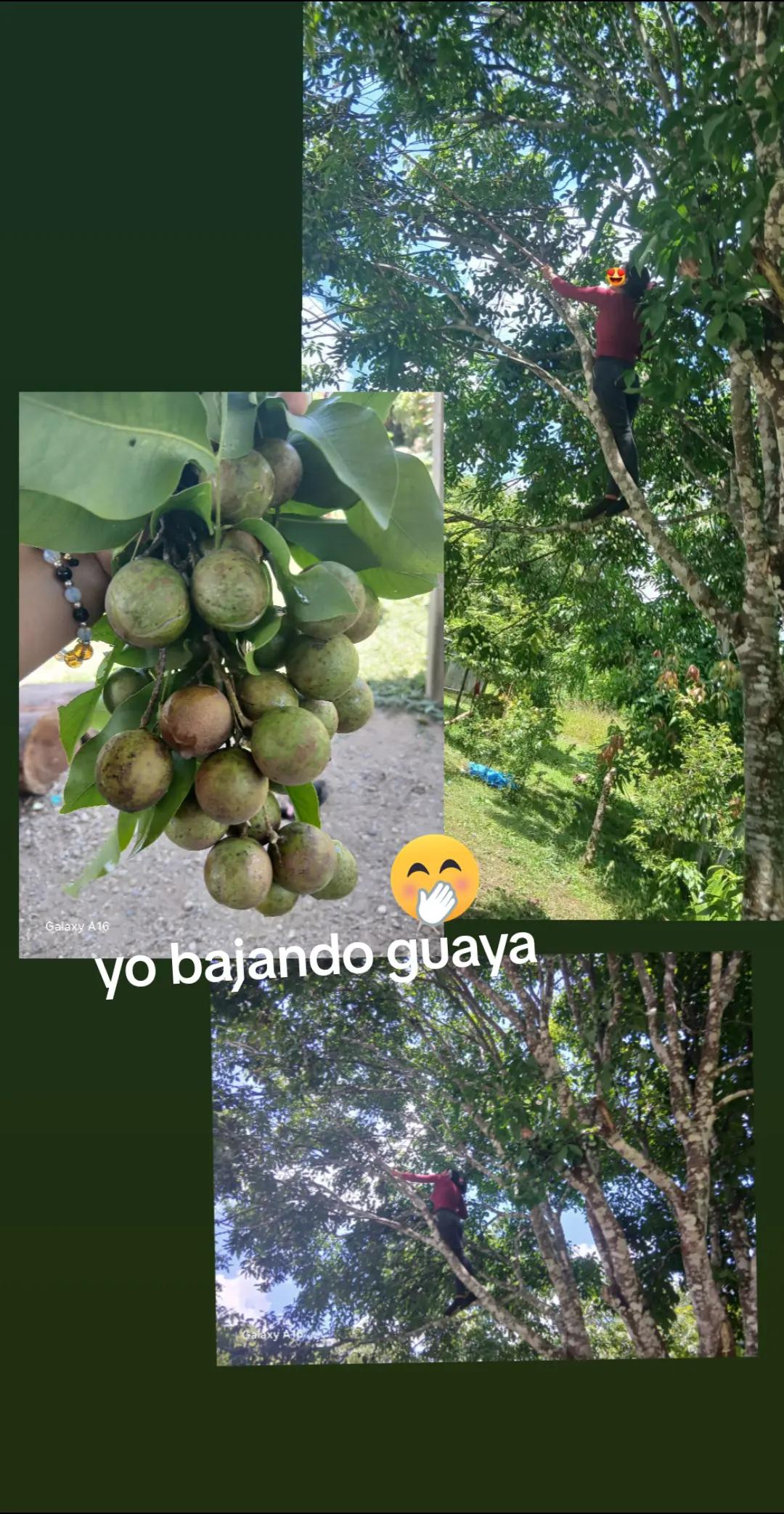 @Dianita Jimenez