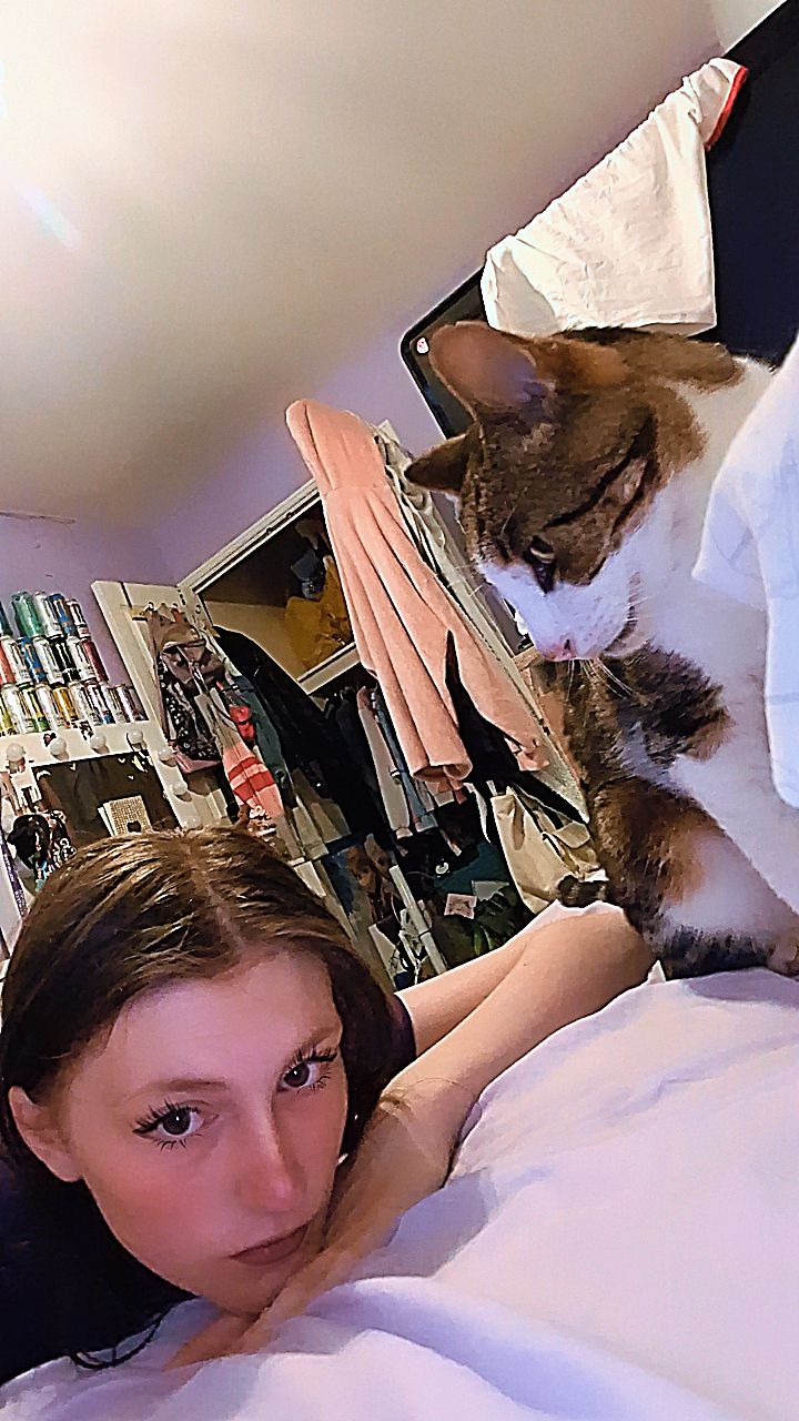 @Ella loves animals 🐢🦔🐱