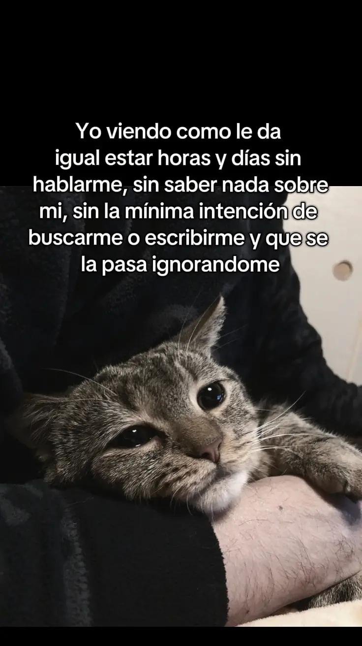 @Leoncio🗣️