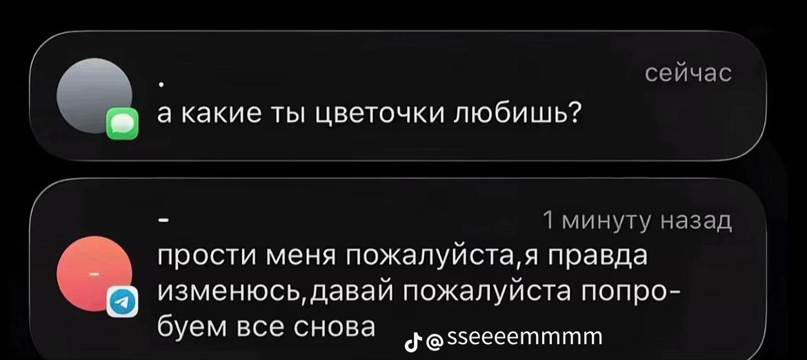 @mironova