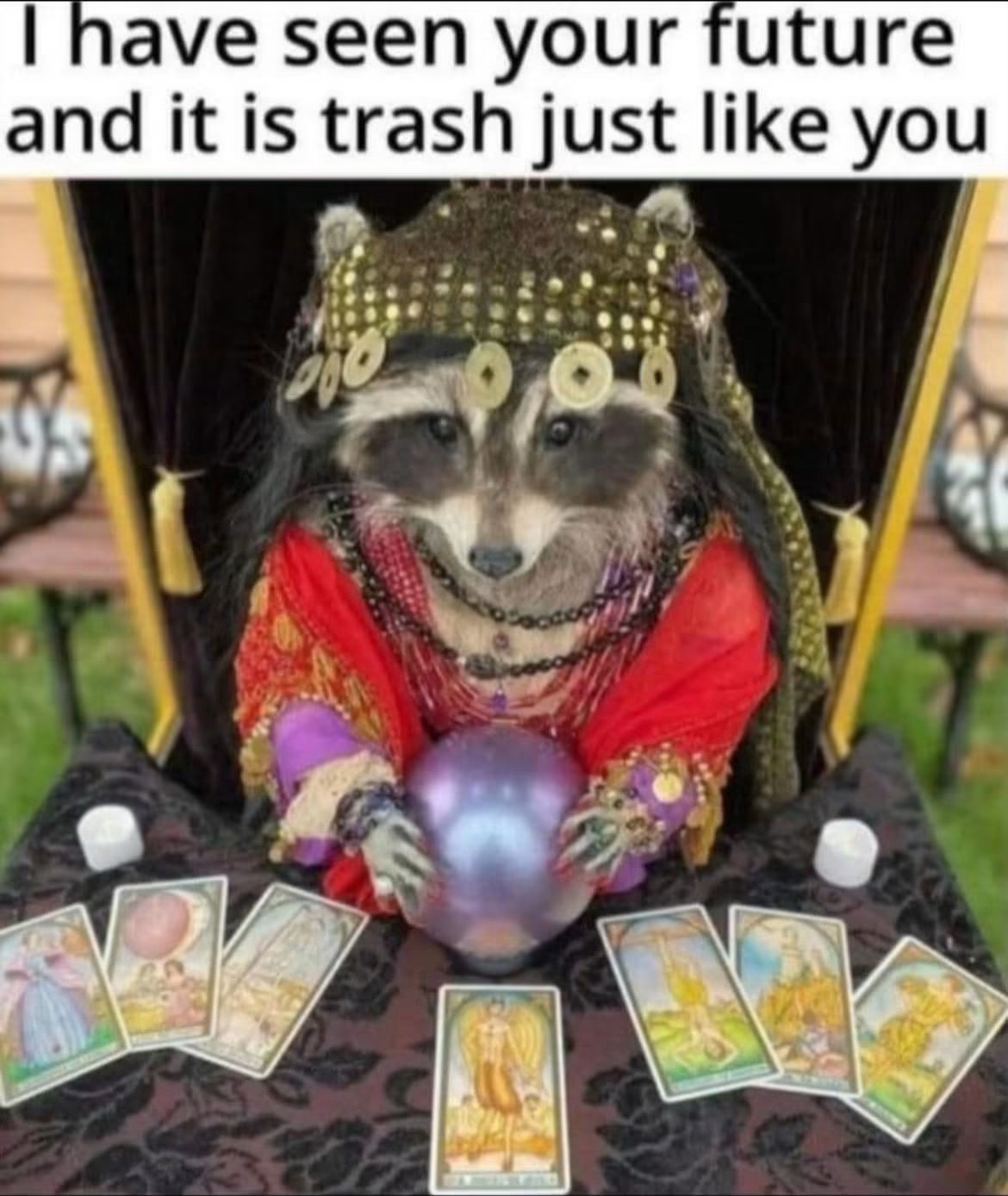 @Meme King