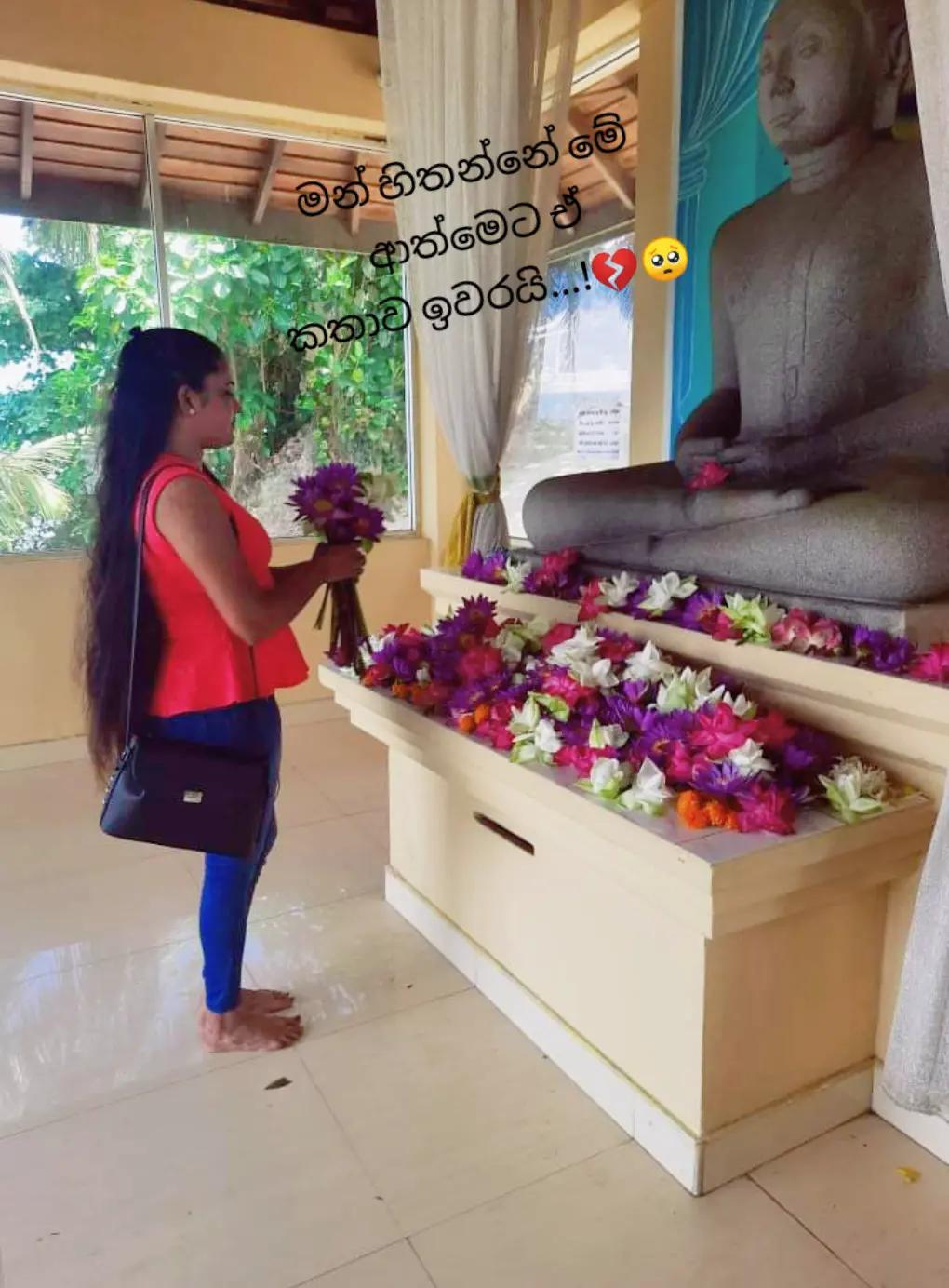 @Nelum mala 🪷🪷☸️