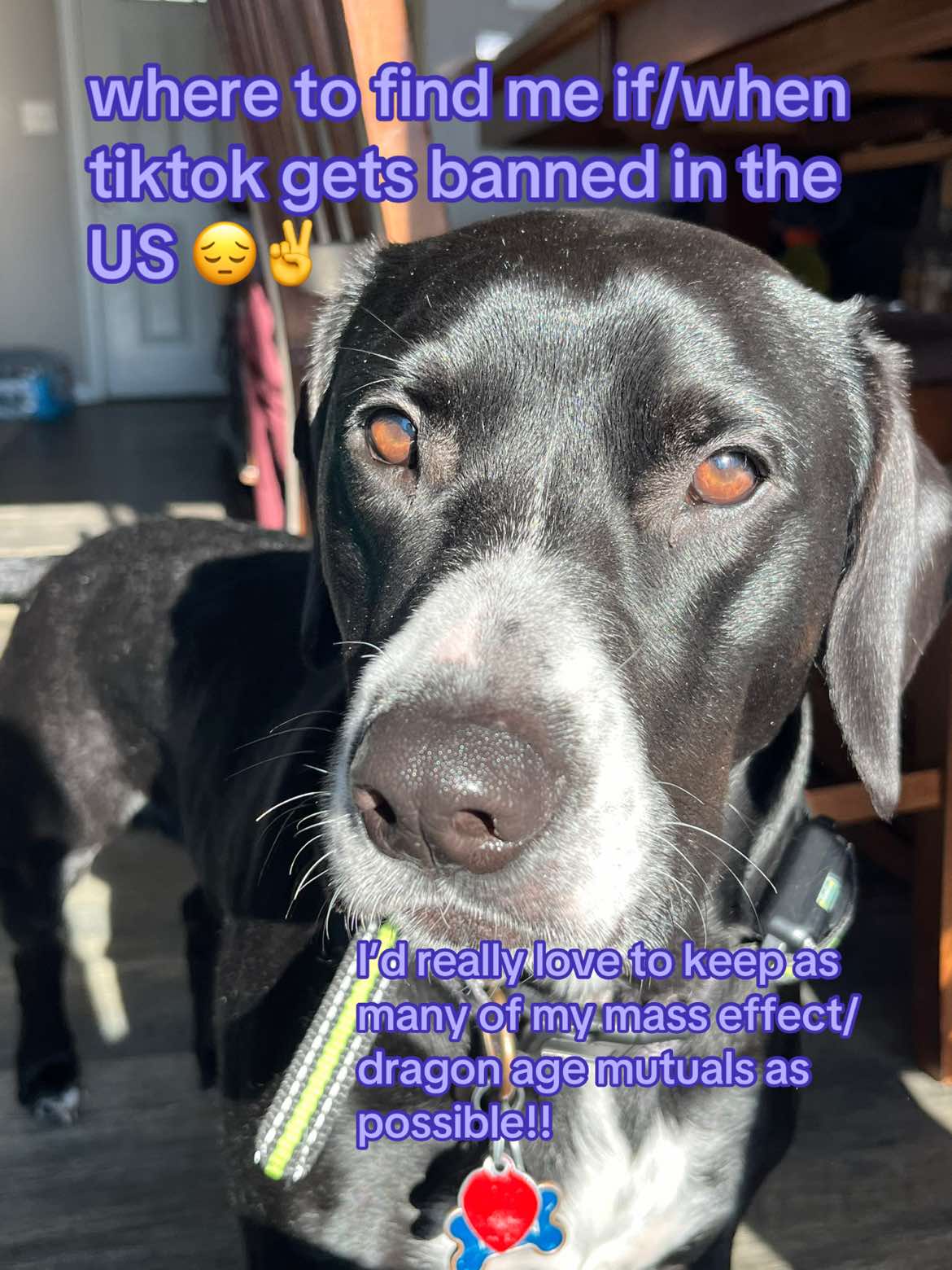 @No. 1 Garrus Vakarian Defender