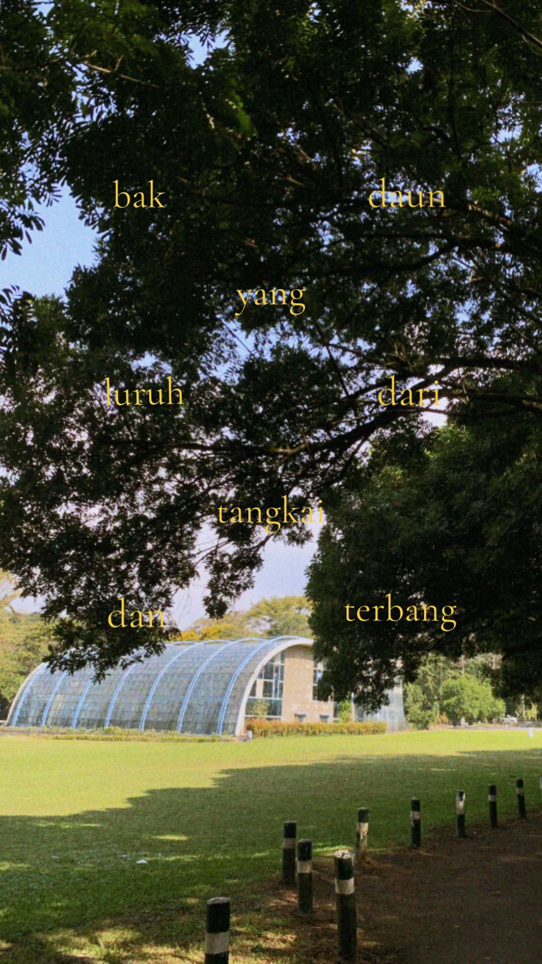 @pyyjpg