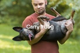 @:3