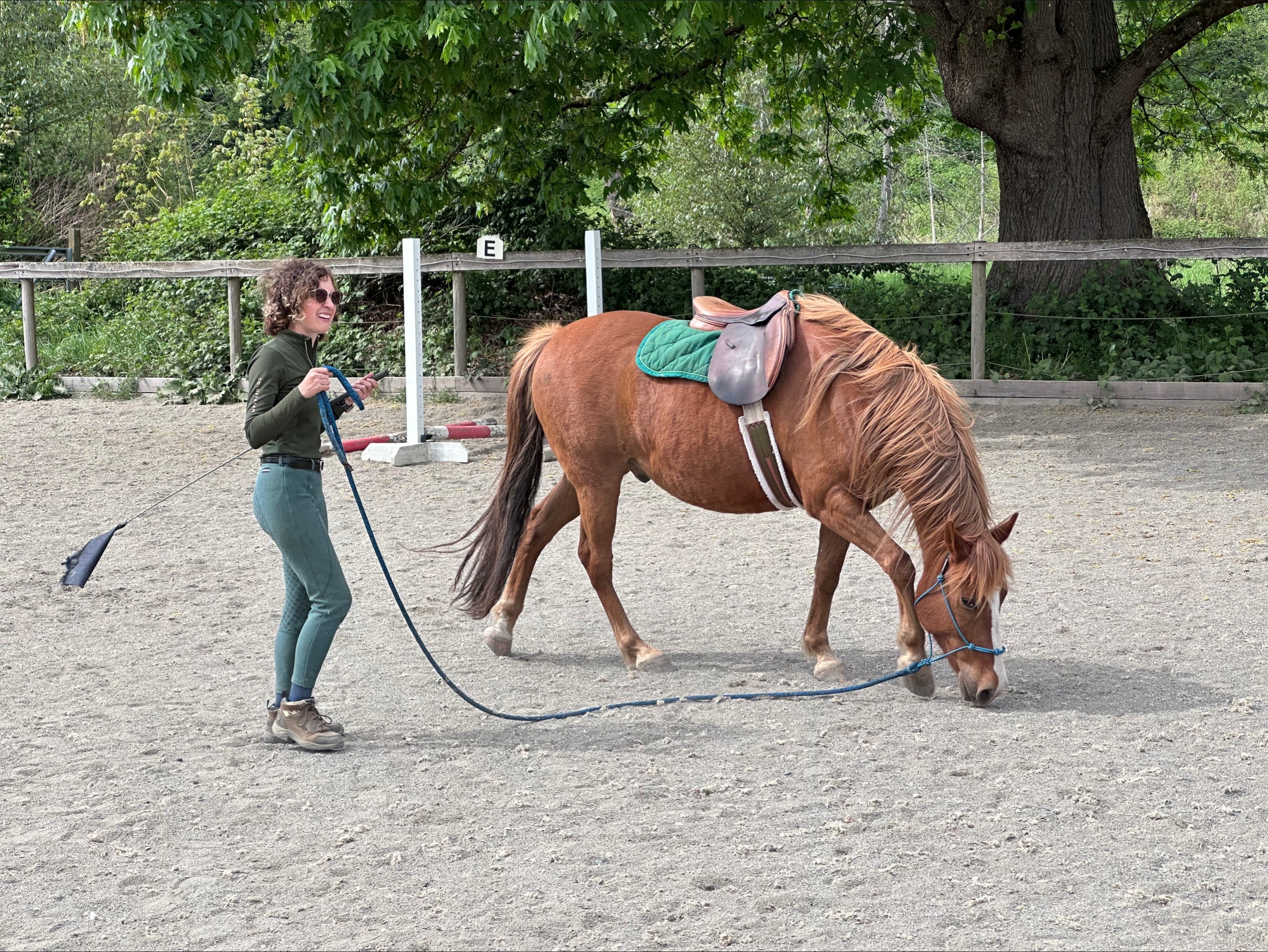 @BlueStarEquestrian