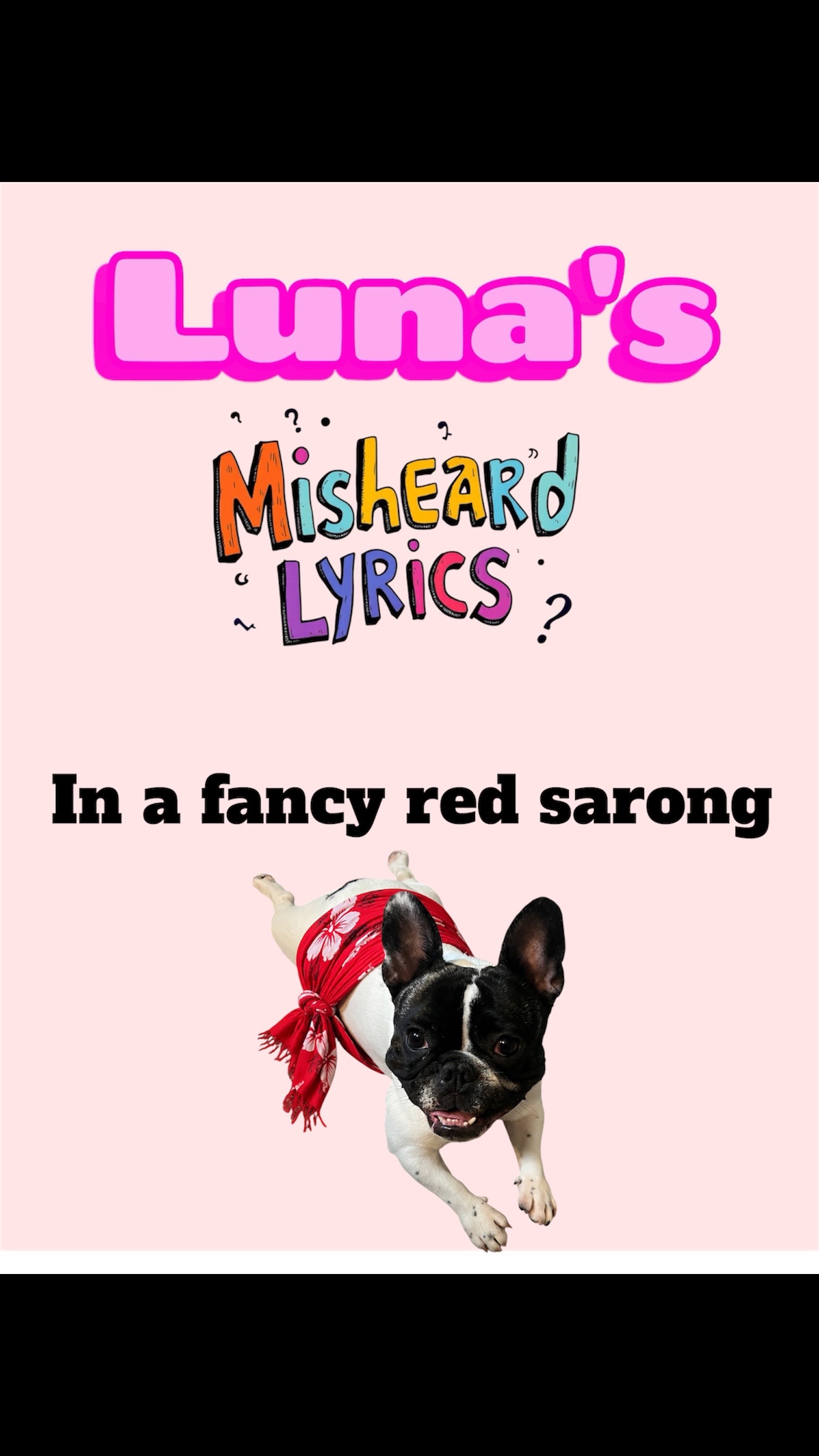 @Luna the Frenchie & Friends