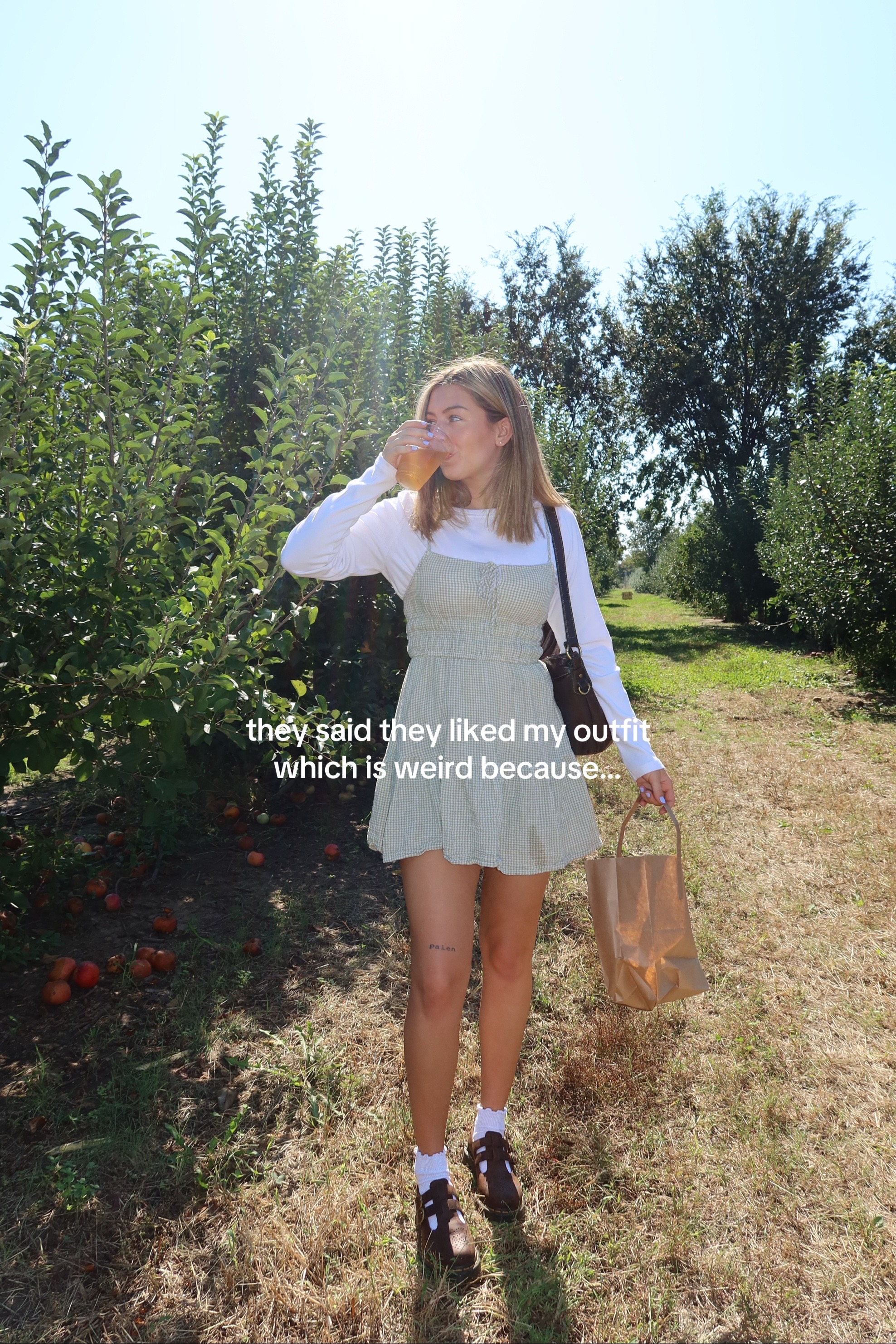 @ellabraungardt
