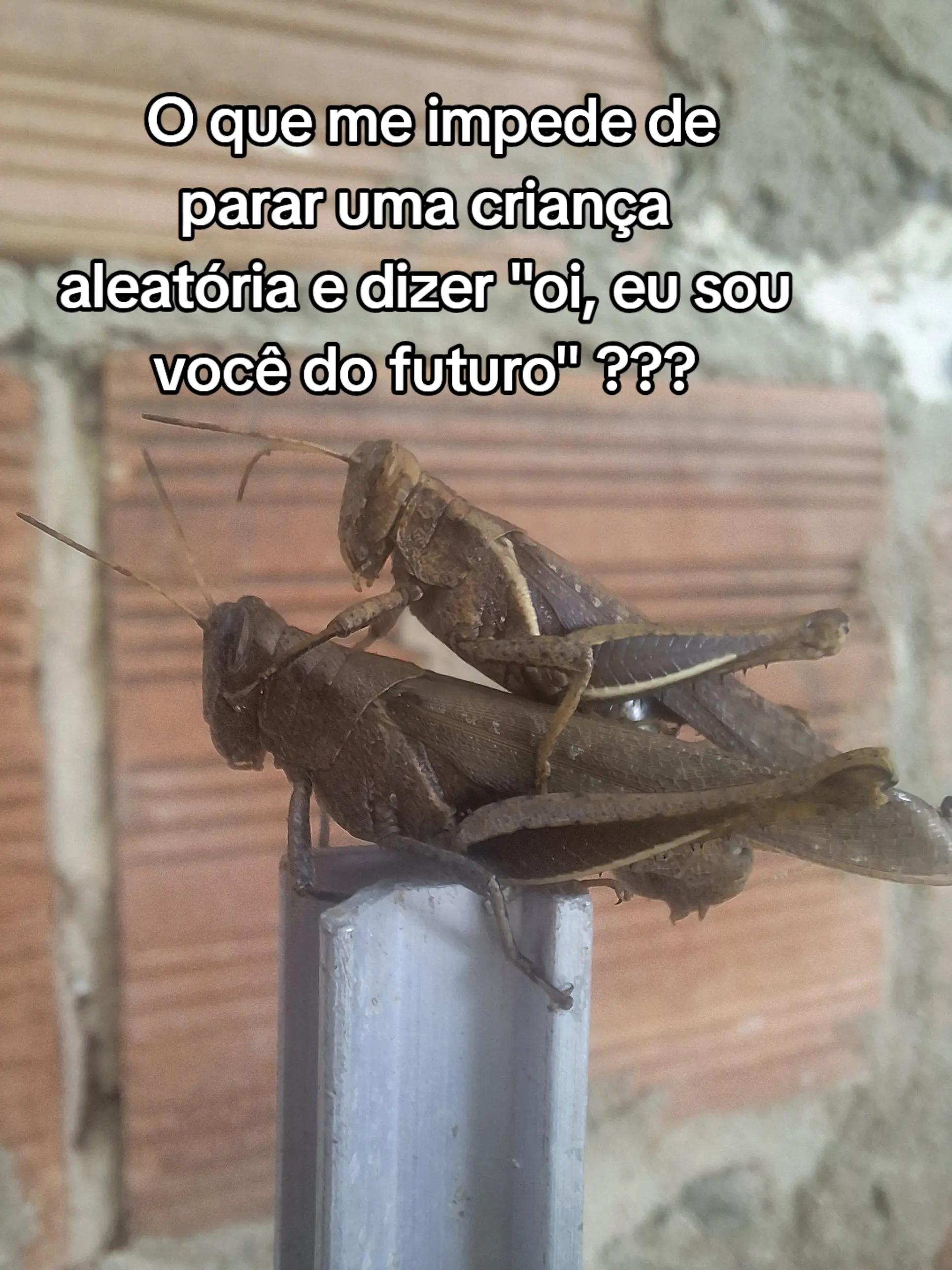 @Paloma Machado865