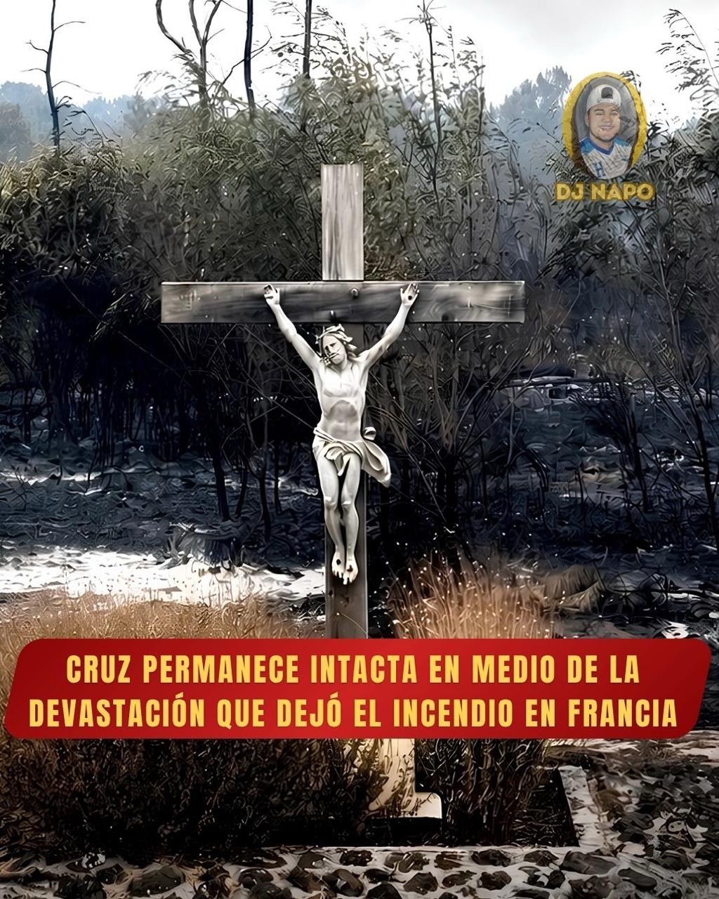 @NapoNoticias