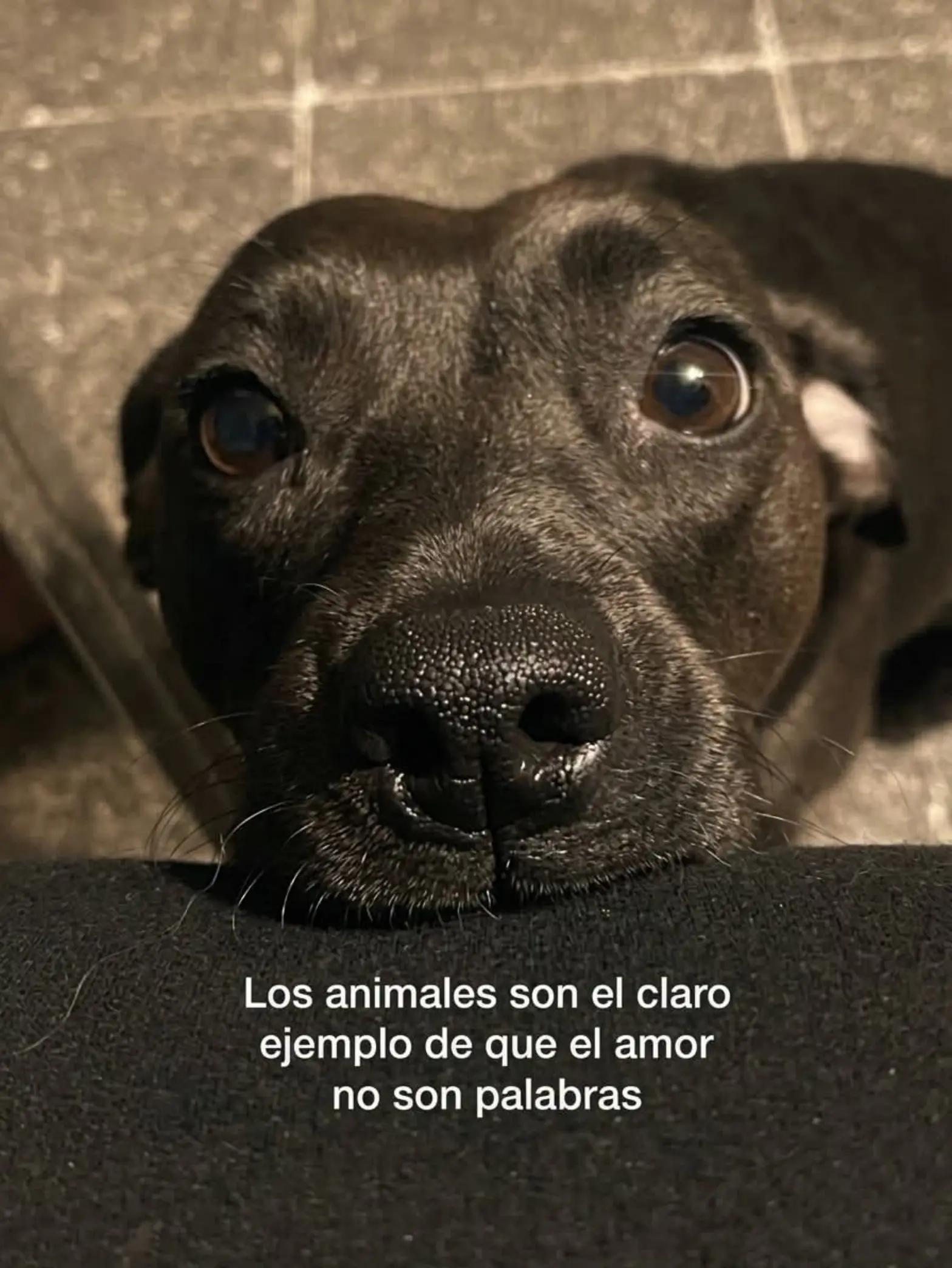 @Alexander✅️