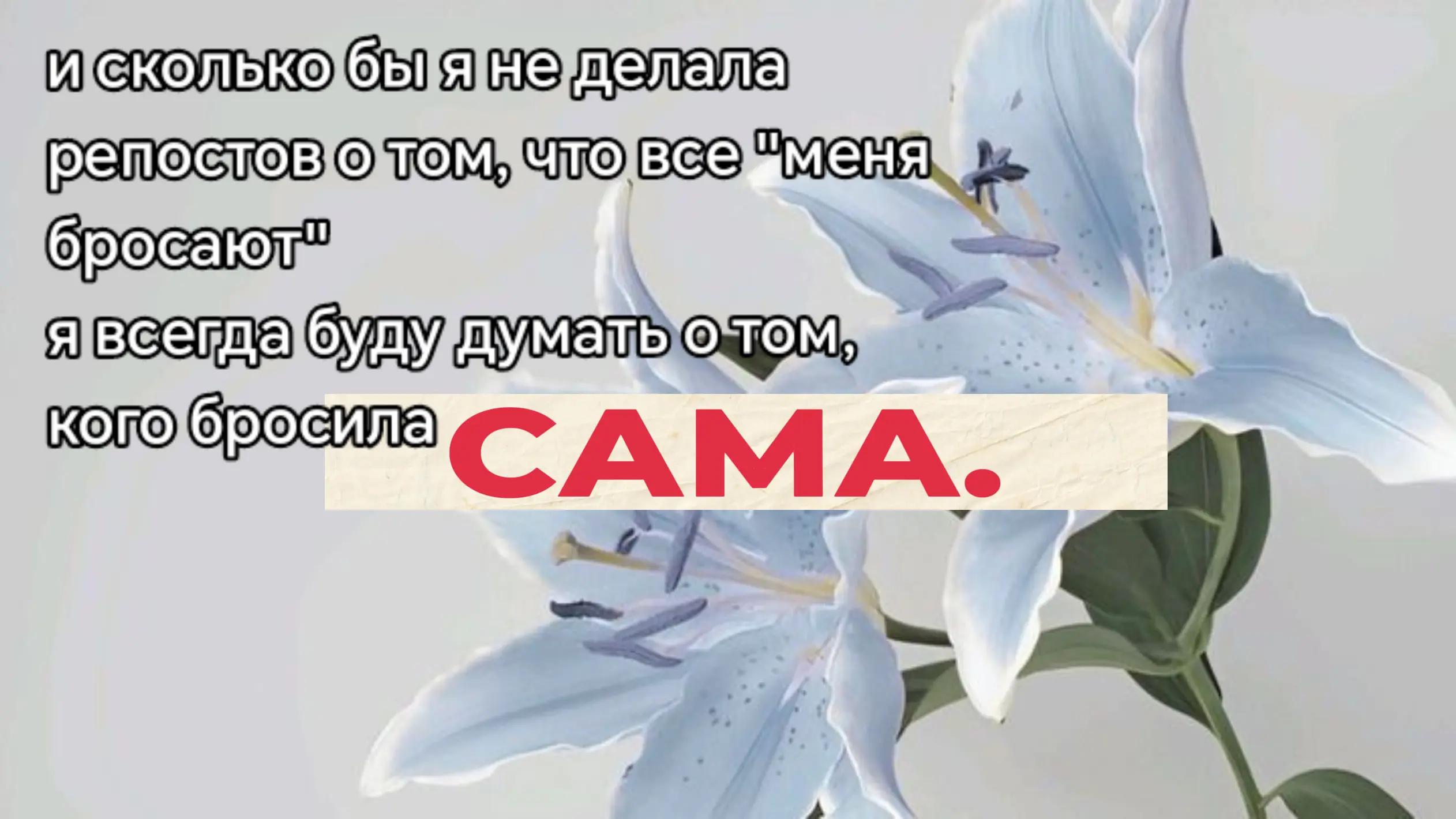 @лупикал