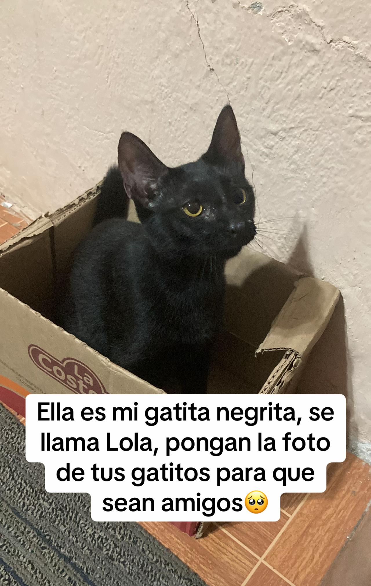 @Mey Dragustinovis