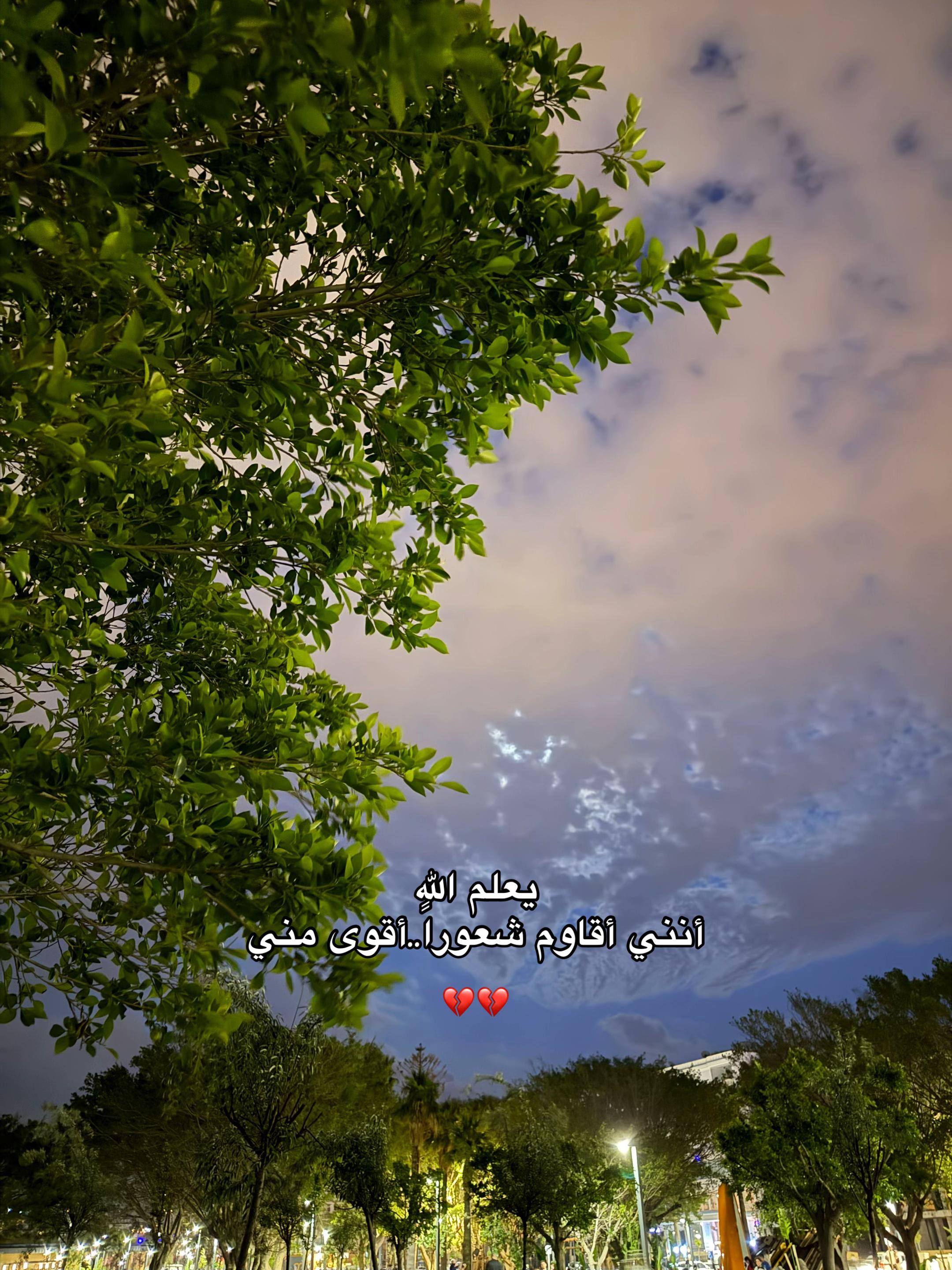 @خالد/KHALD