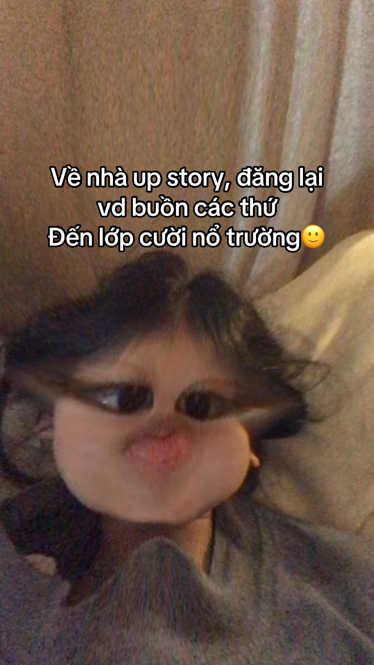 @bố mày hận văn👌