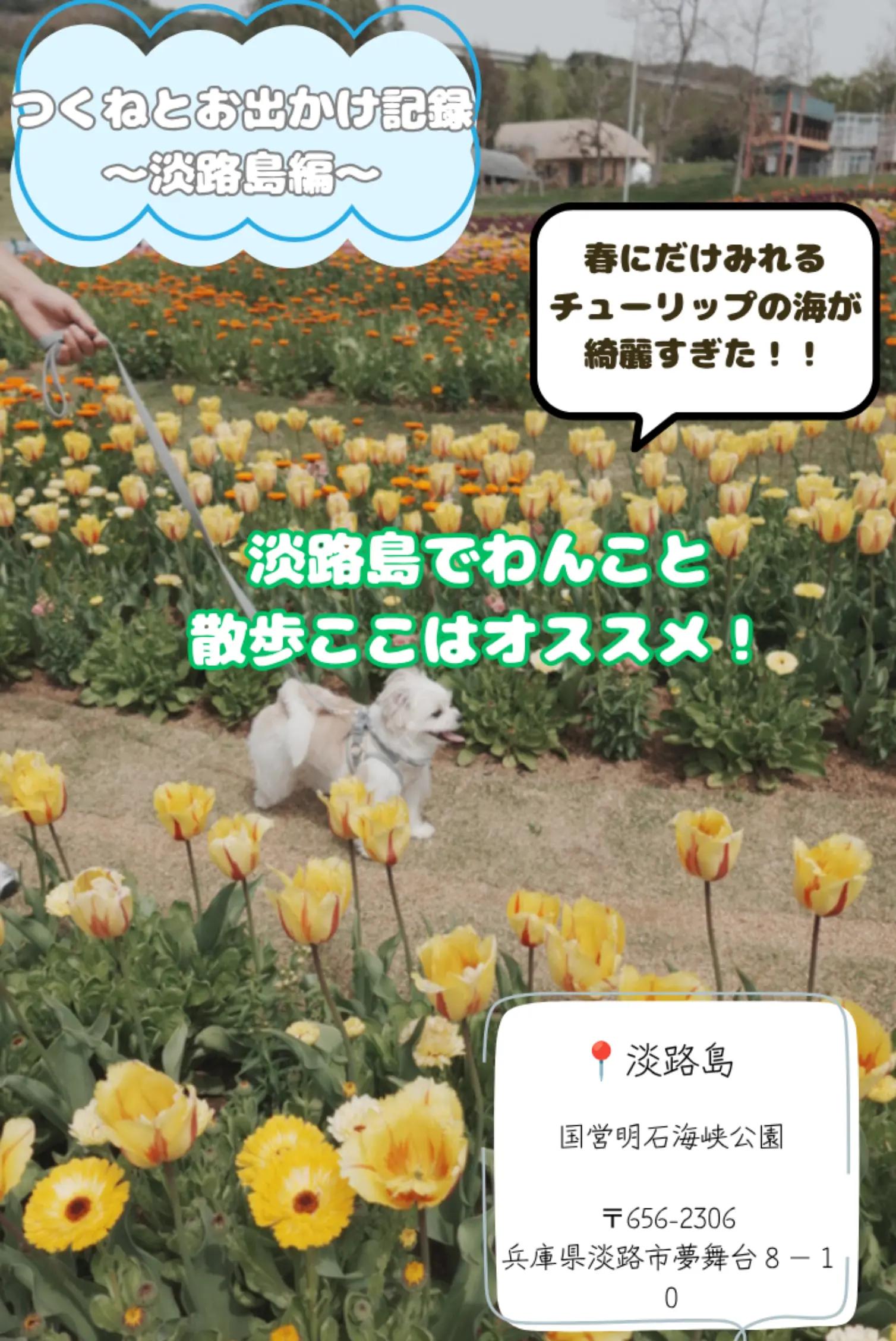 @つくねくん