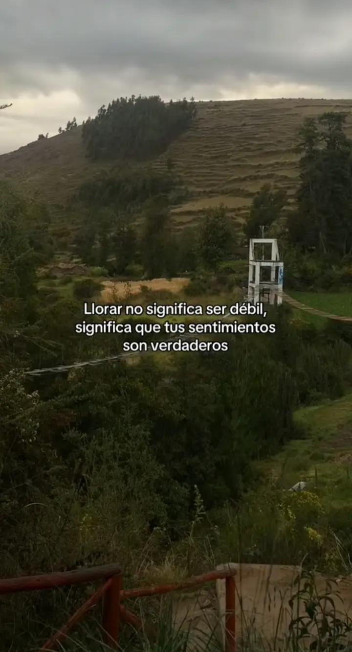 @Davo...Lg