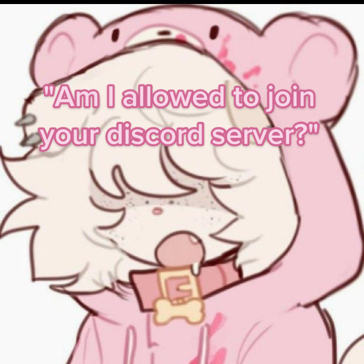 @🐾🫧