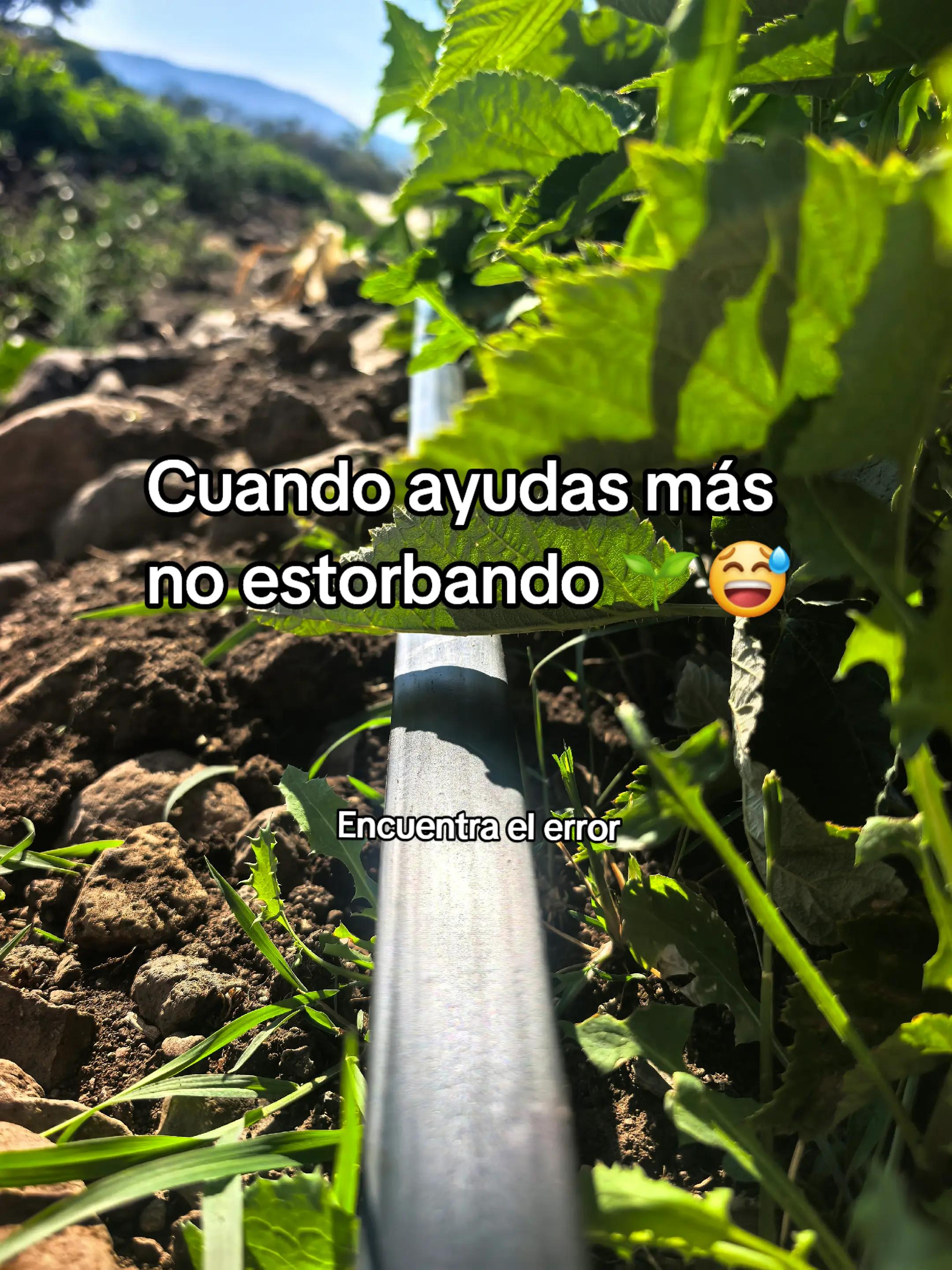 @Fabi Agro Fratec👩🏻&zwj;🌾💅🌱