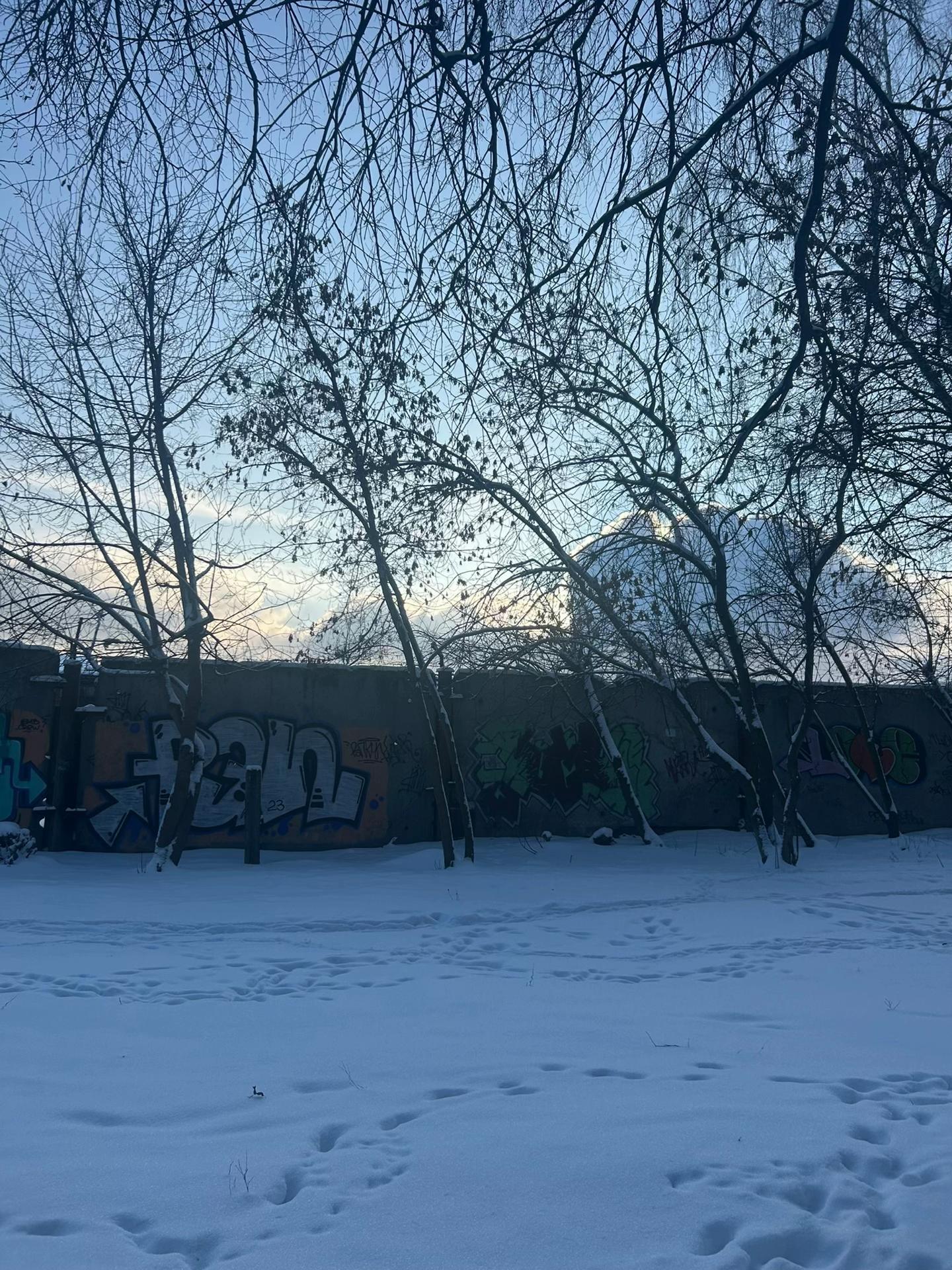 @лизочка