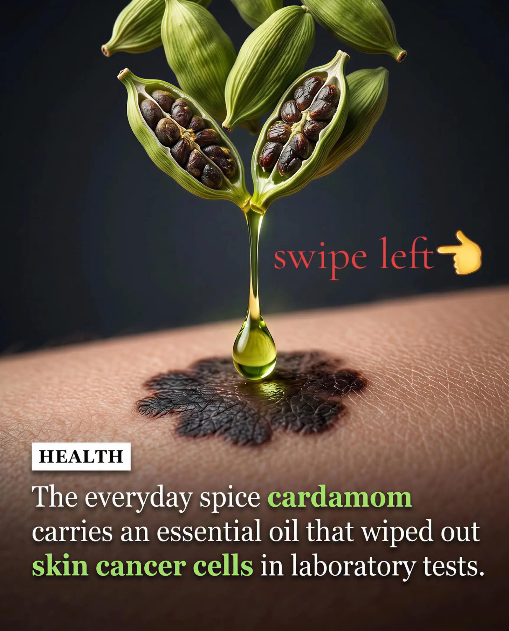 @Beauty and Wellness