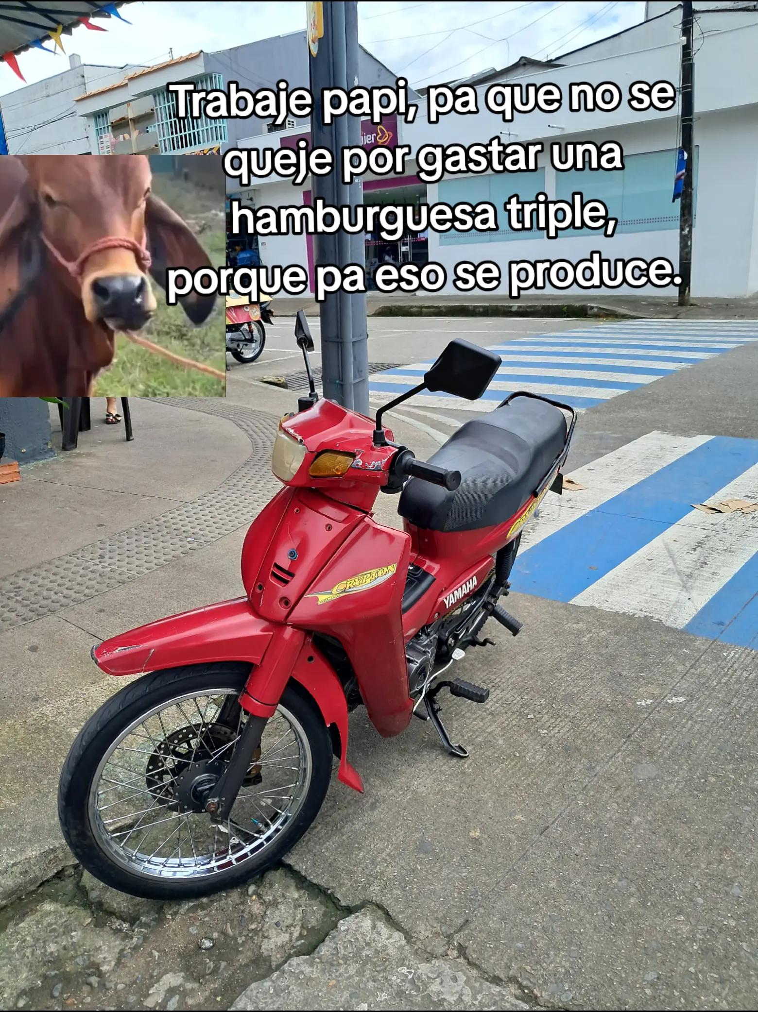 @Elflako
