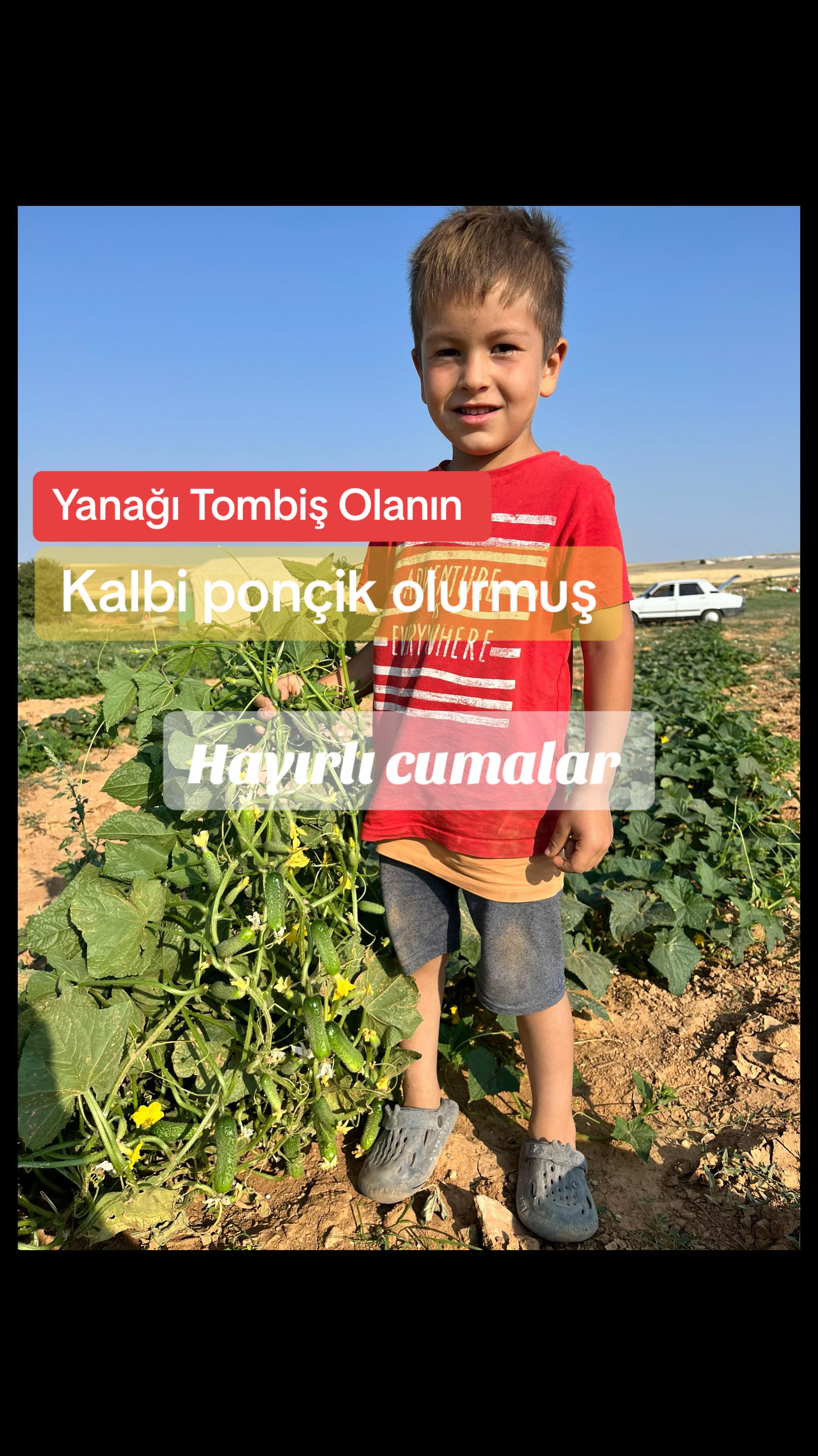@İsa Tat
