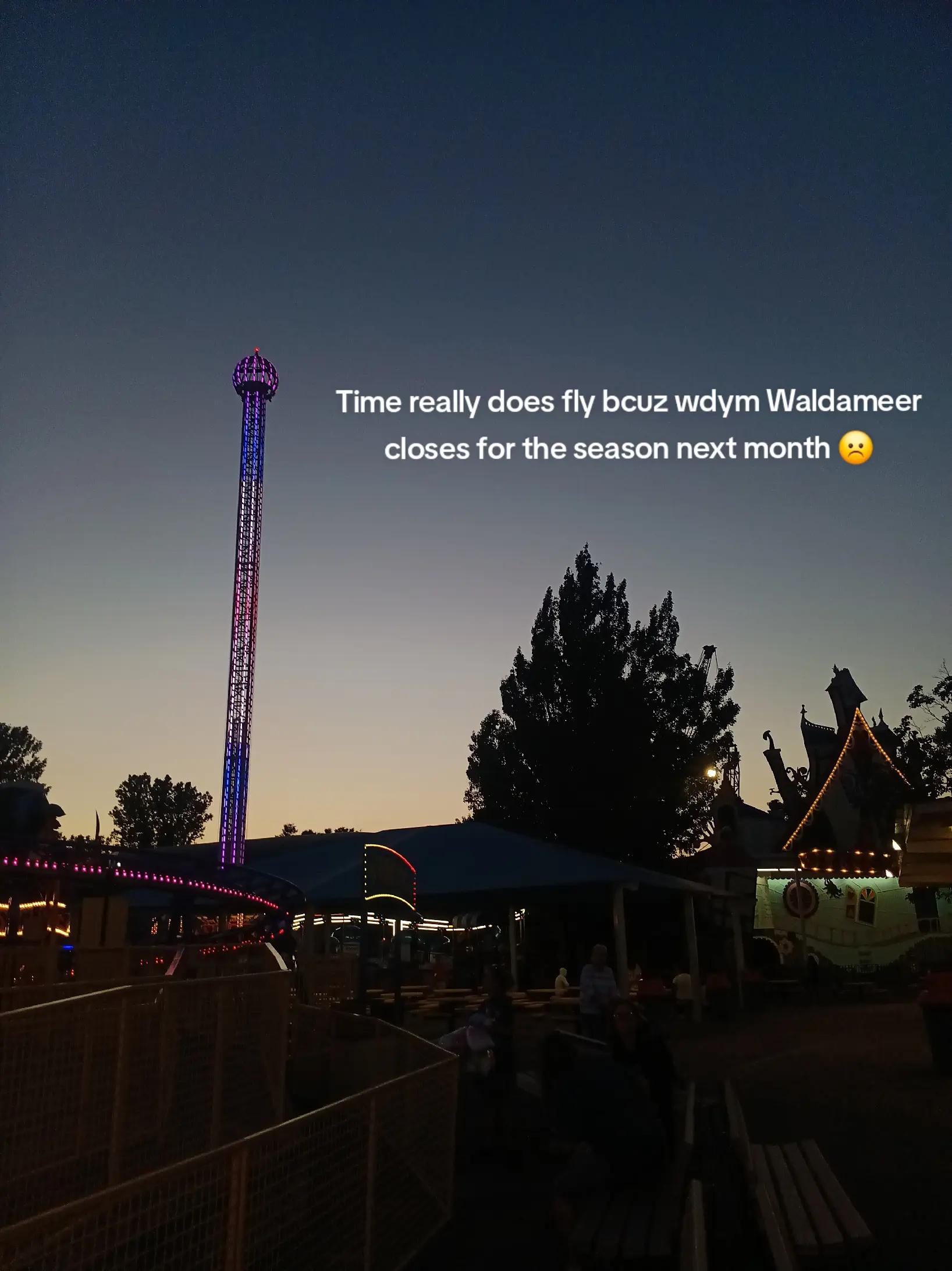 @waldameer_glazer