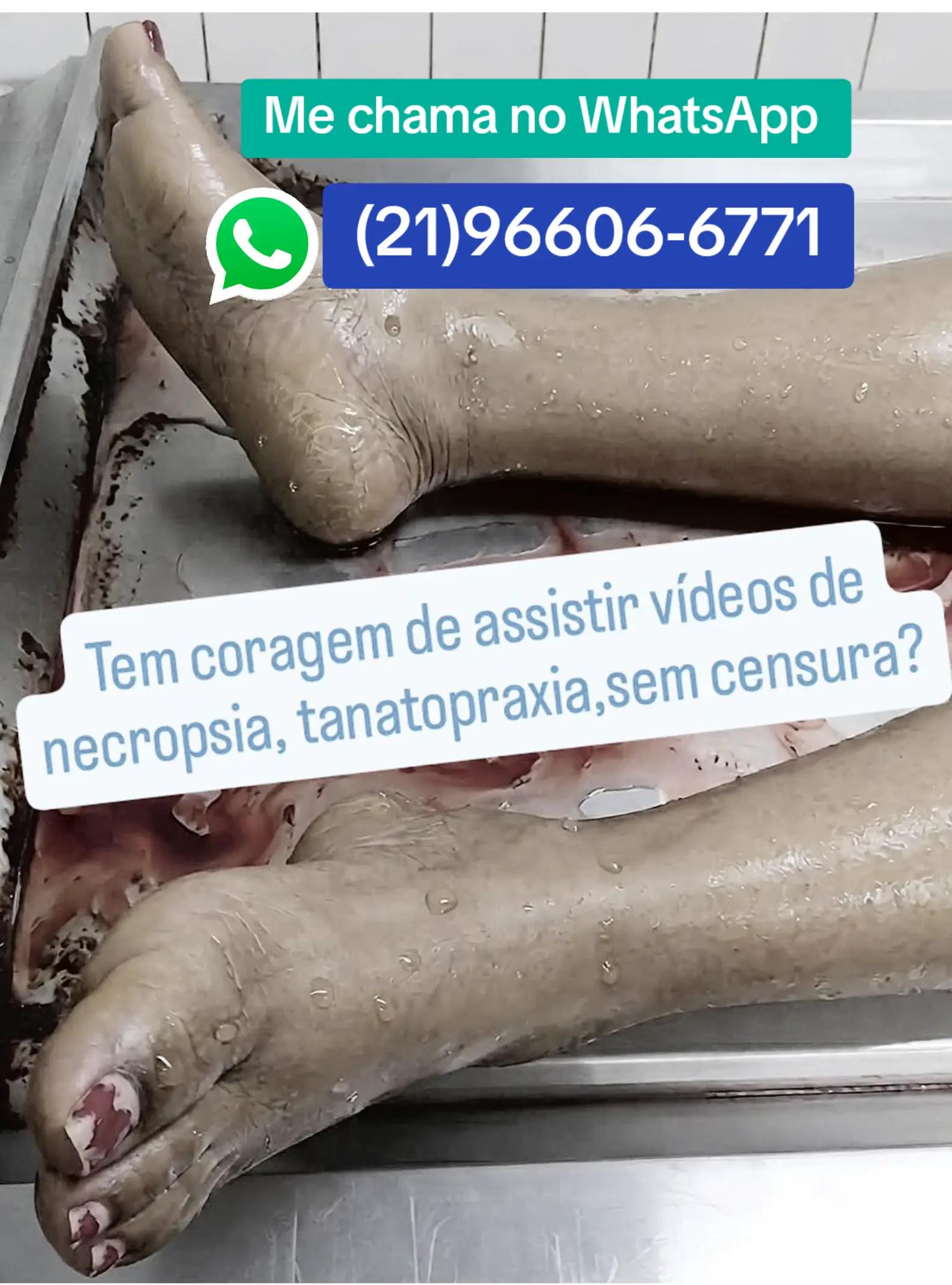 @NECROPSIA & TANATOPRAXIA🗨