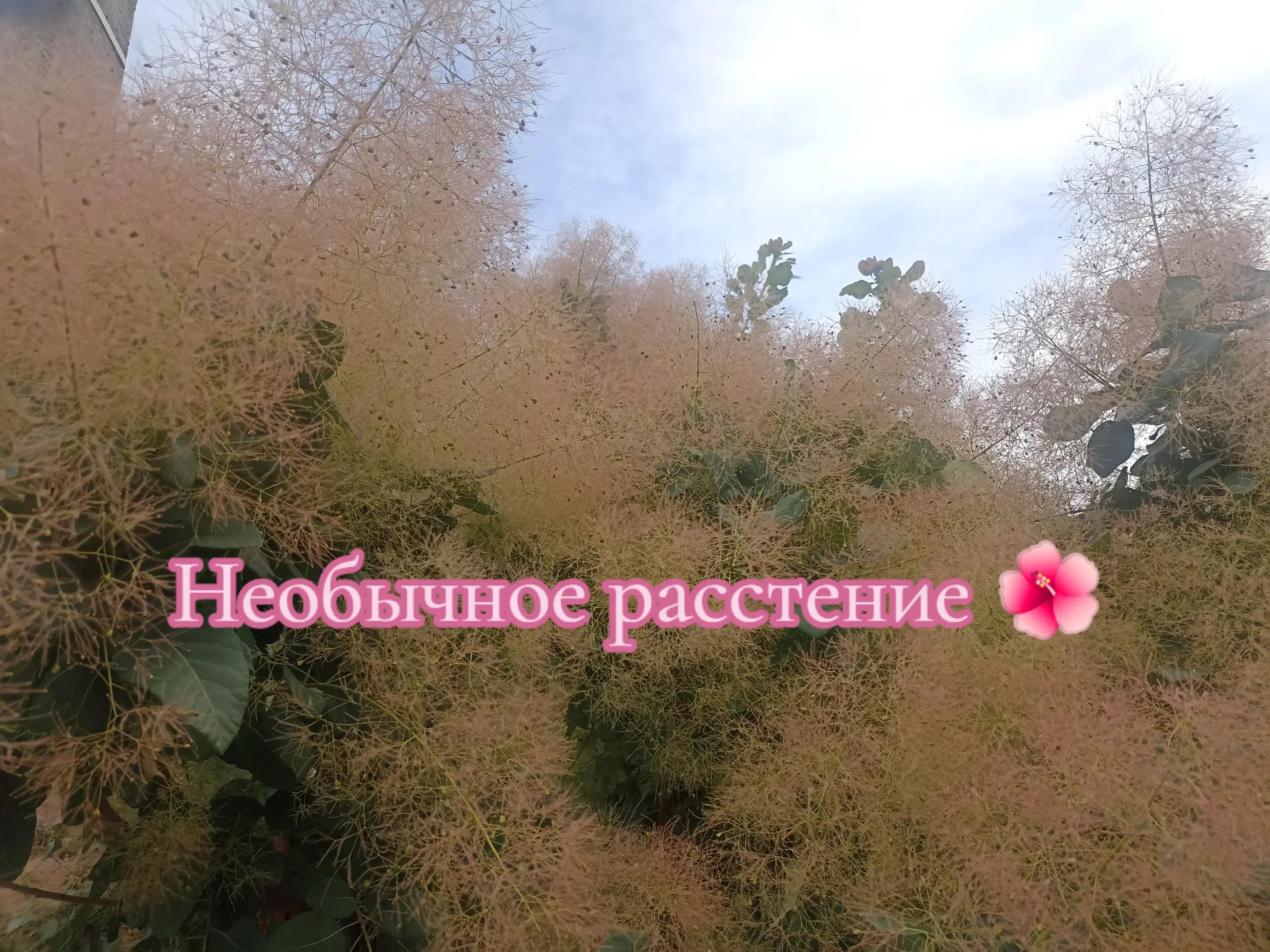 @Везунчик Джефф Live