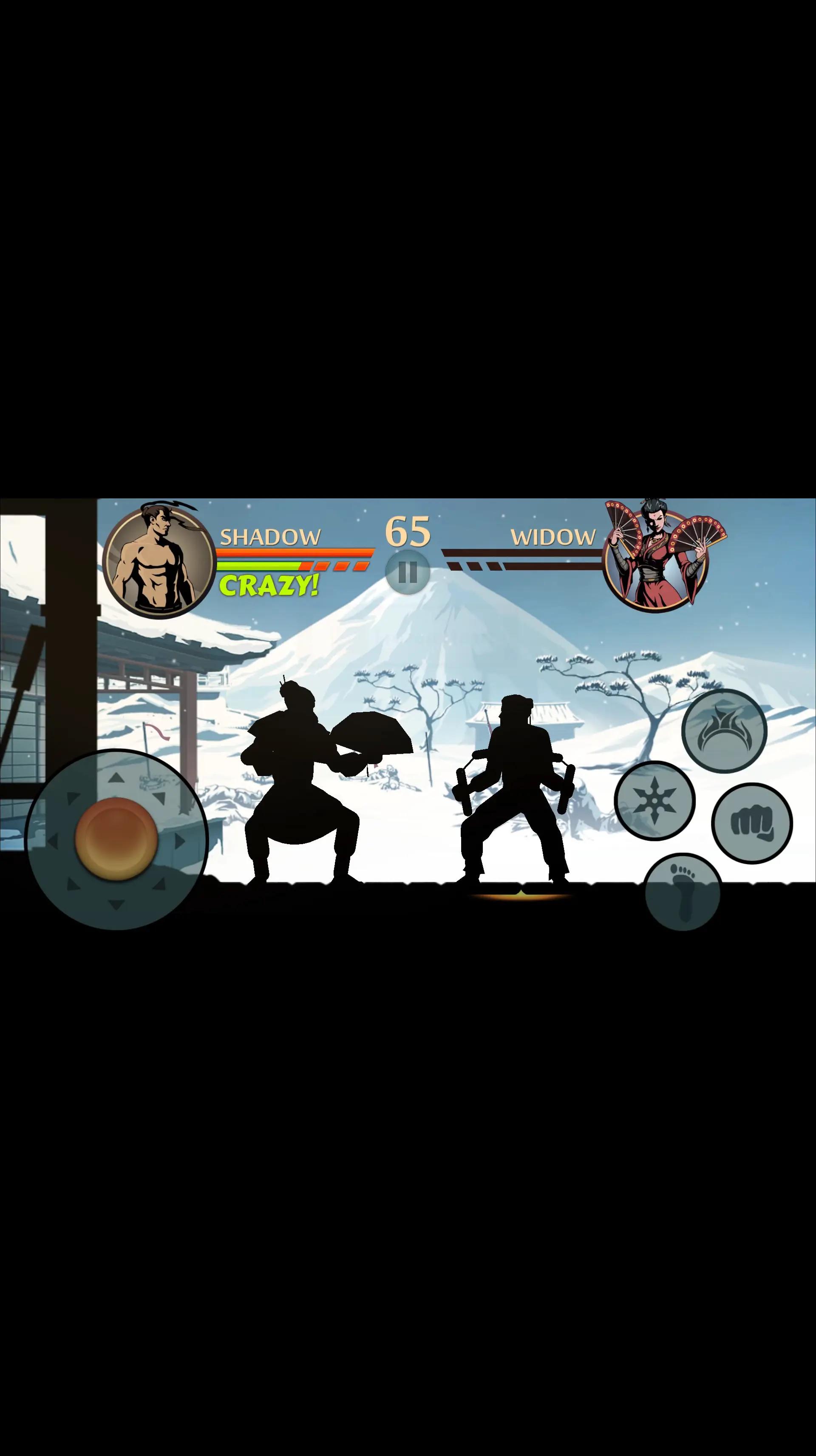 @Amir Shadow Fight