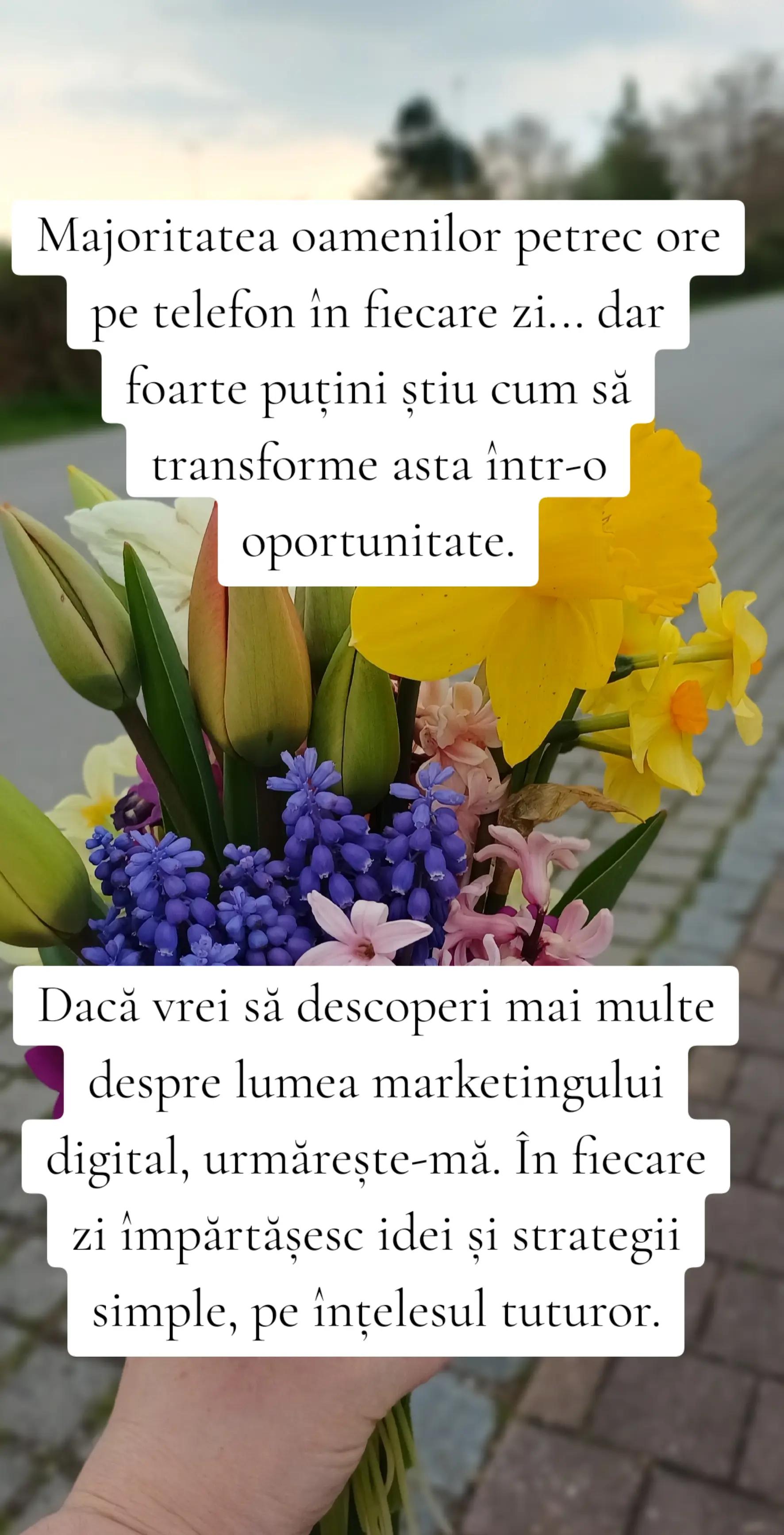 @Raluca RaLu