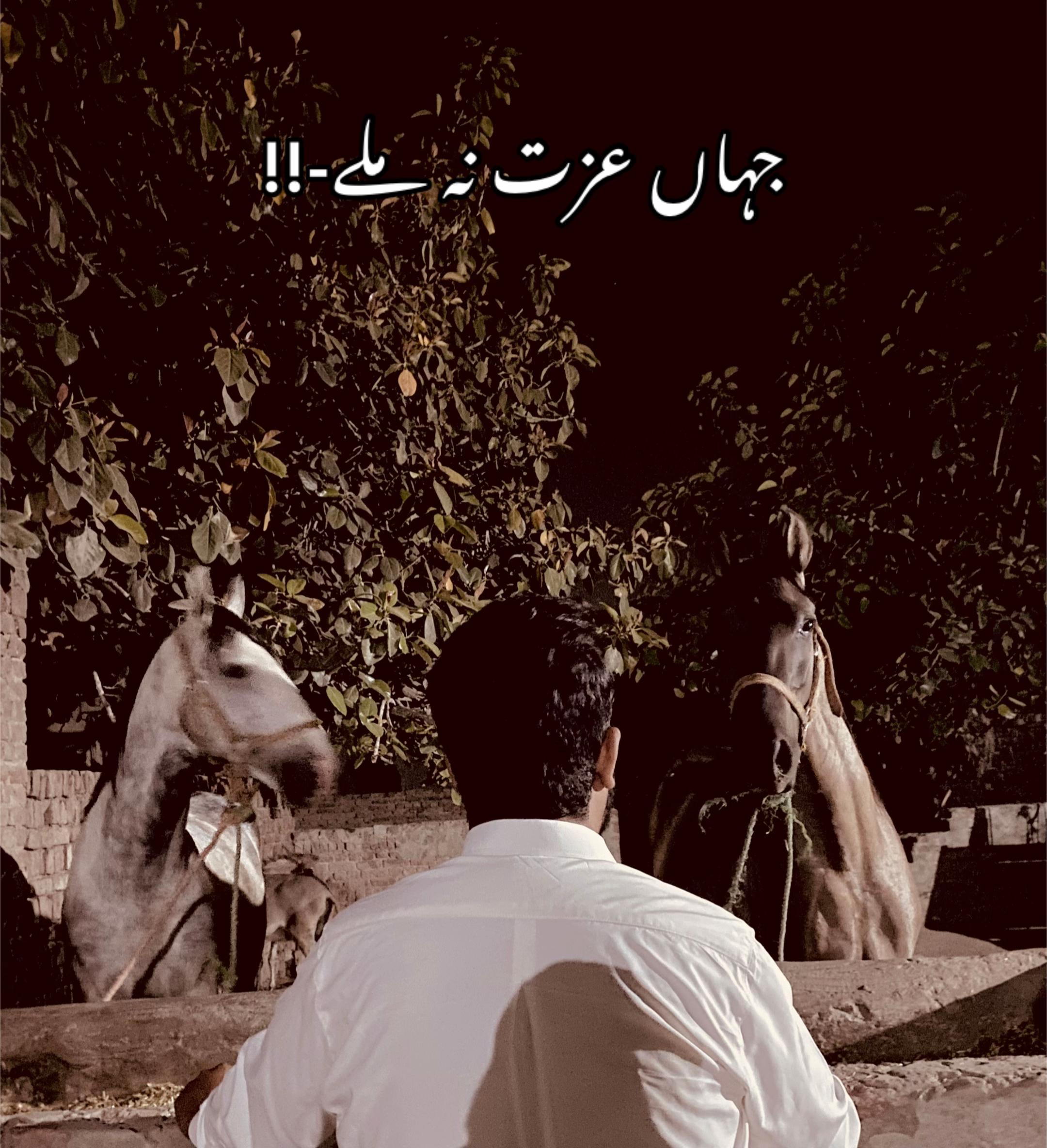 @Faisal_رحمانی