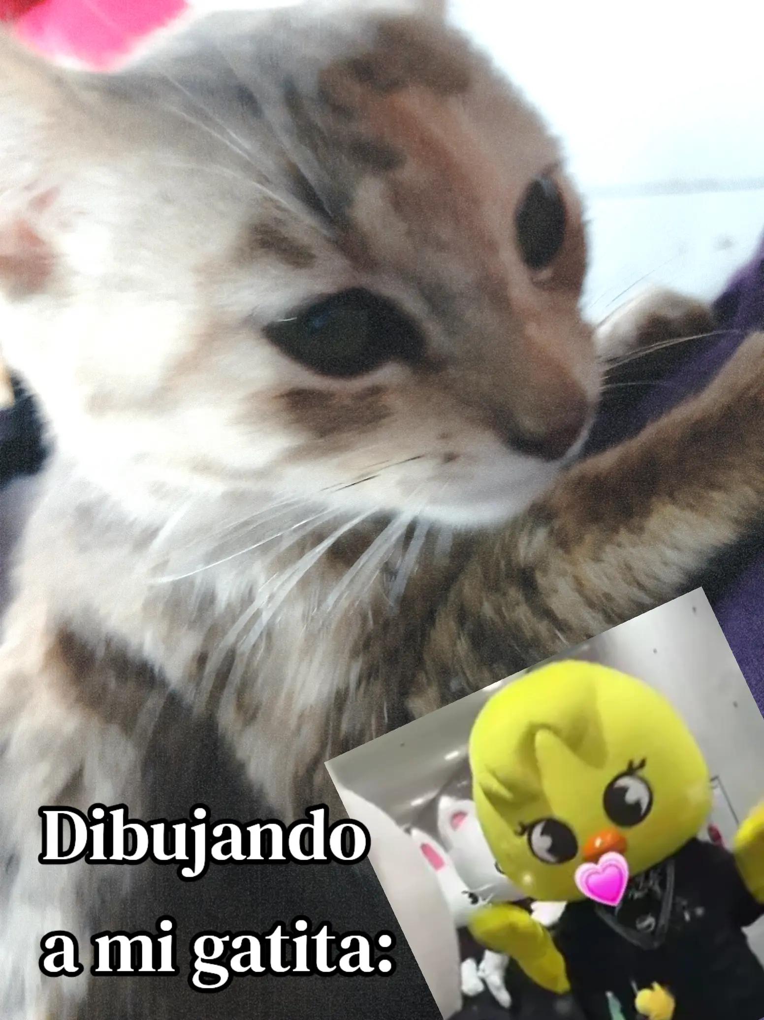 @༄–.᭄✿ʀᴏᴅʀíɢᴜᴇᴢ࿐💗