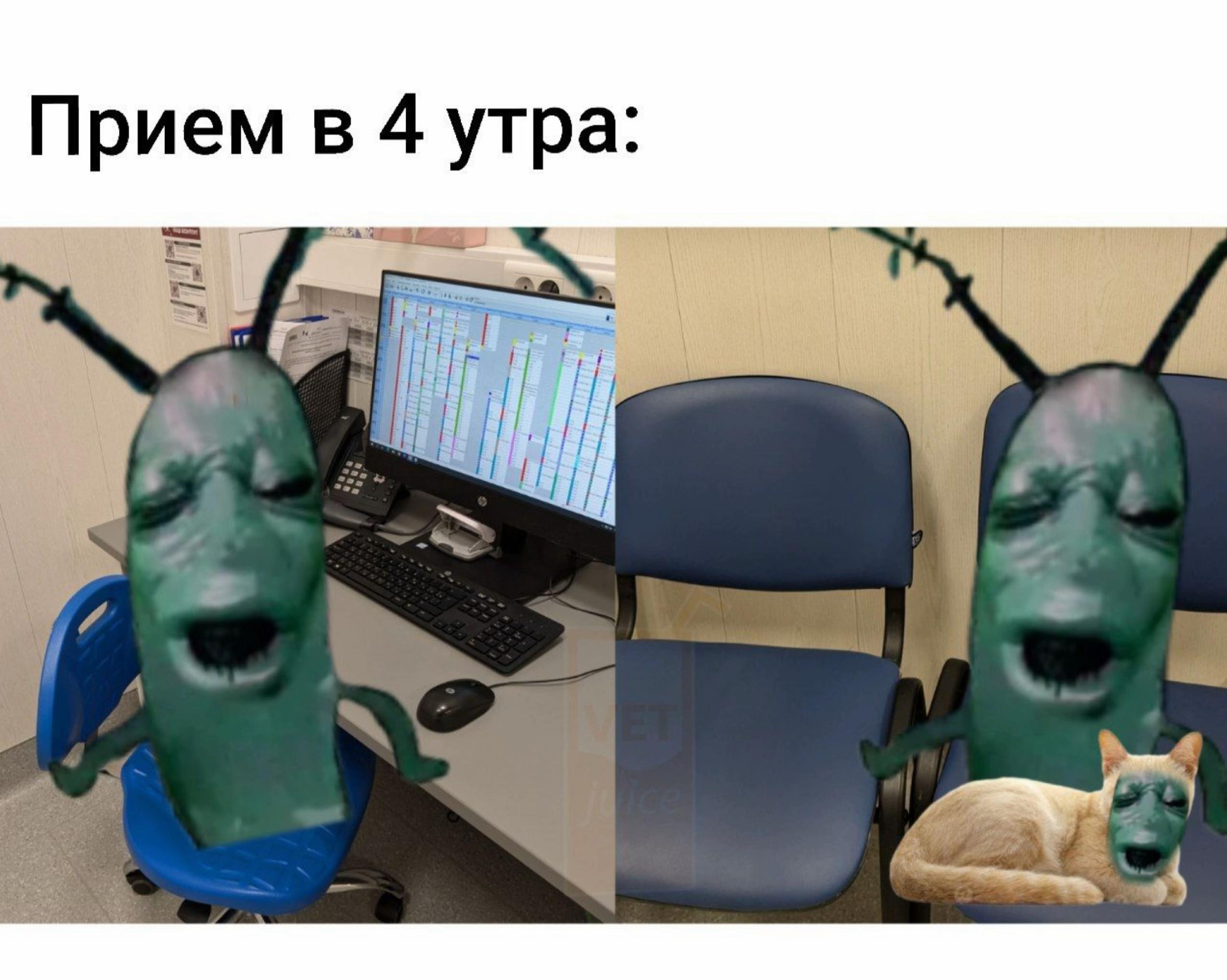 @нюта корс 🍏
