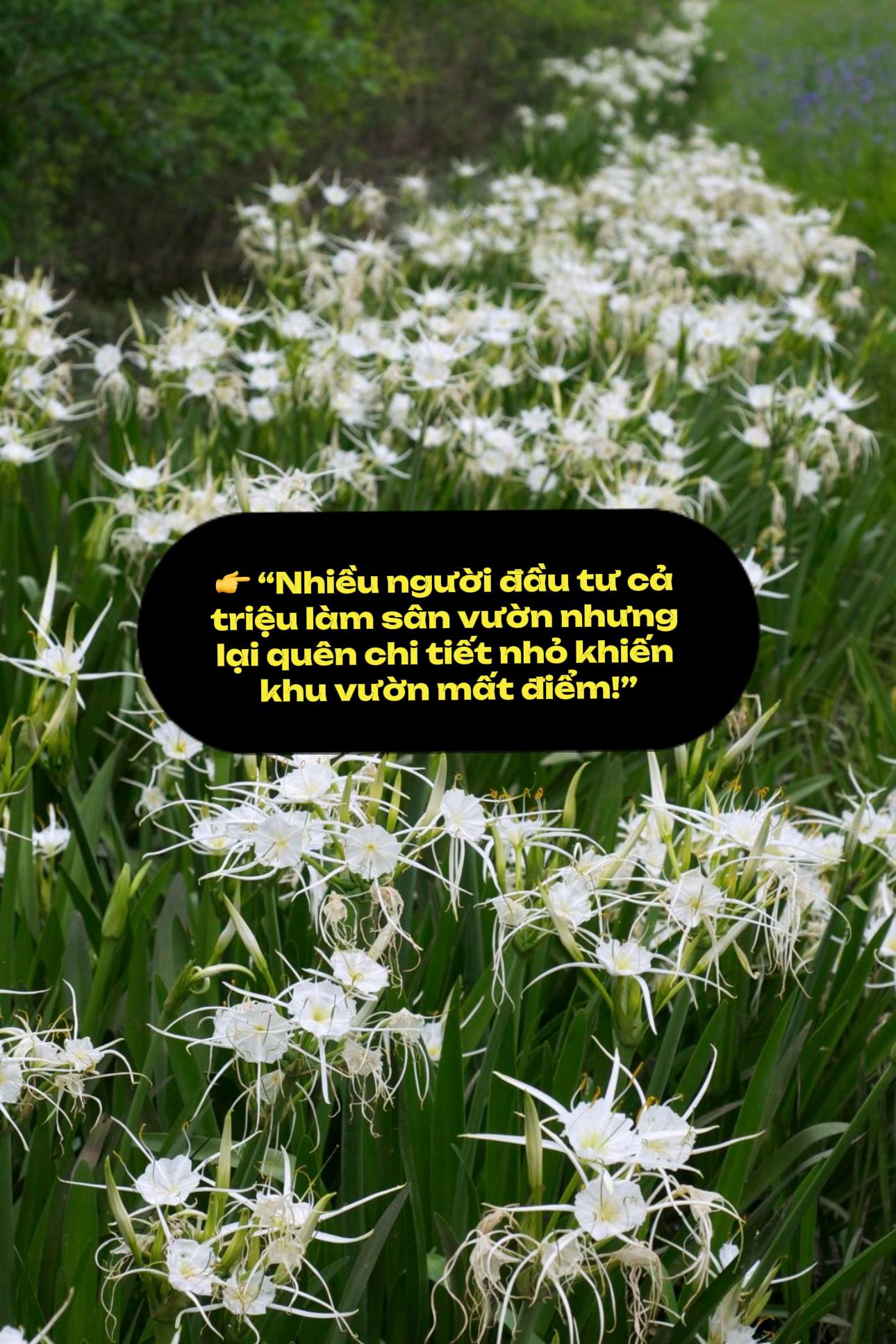 @Tiệm Lá Nhỏ