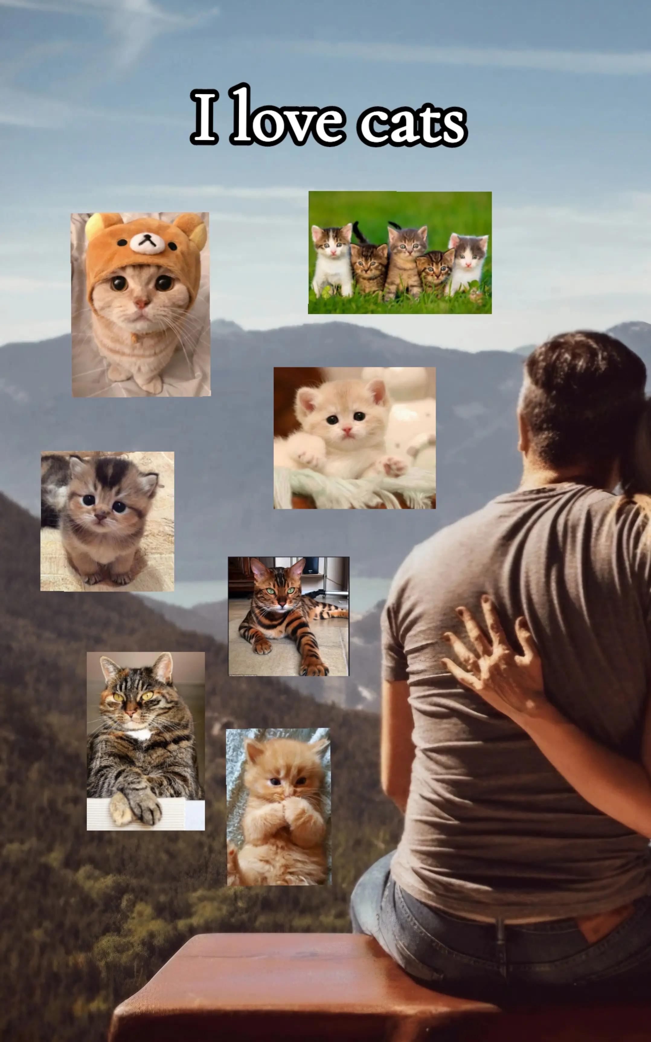 @𝓛𝓲𝓵𝓸𝓾 ꨄ