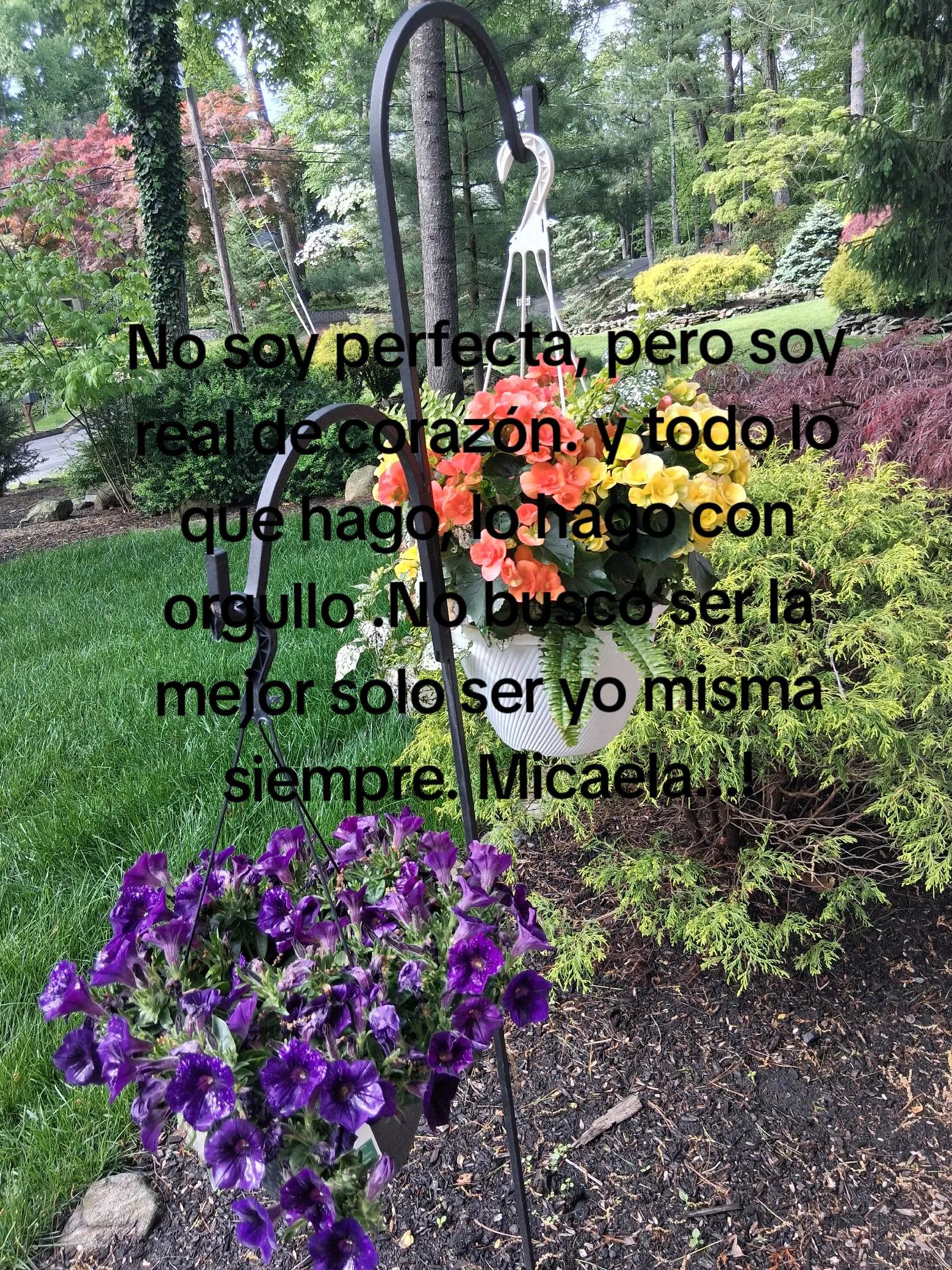 @Micaela Tzul