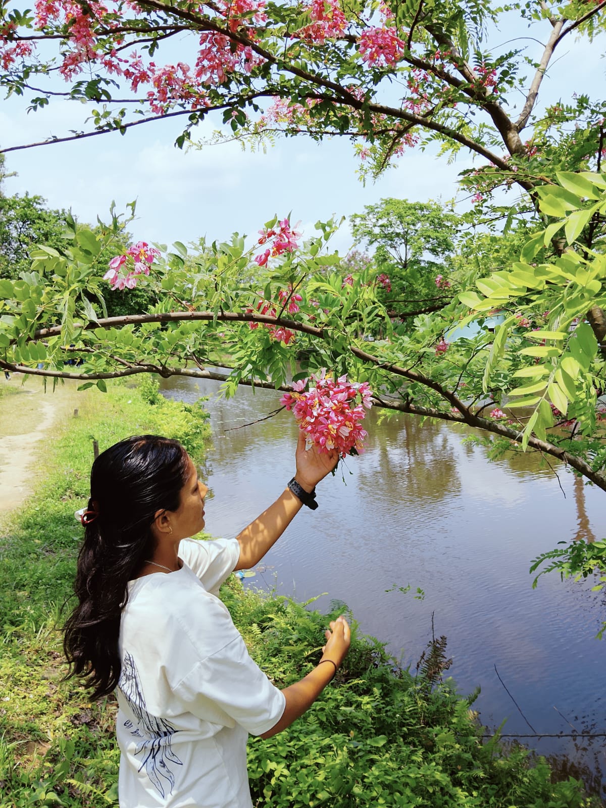 @Saraswati