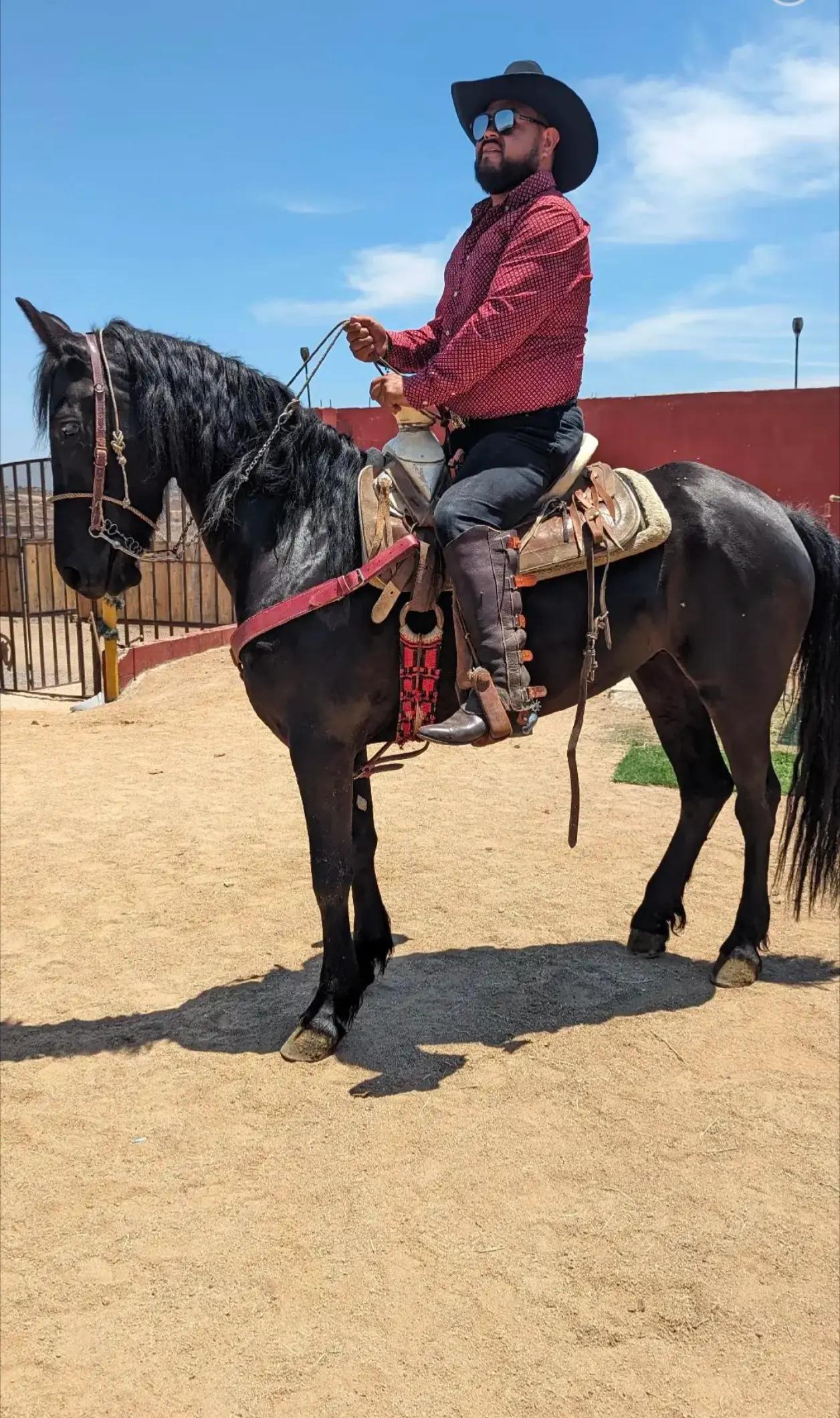 @✨🐎HÈCTOR🐎✨