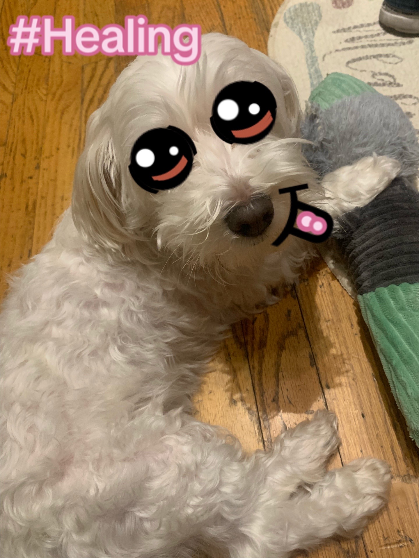 @☆౨ৎ⋆𝚓𝙰𝚉𝙼𝙸𝙽𝙴࣭⭑ֶָ֢❀☆゚
