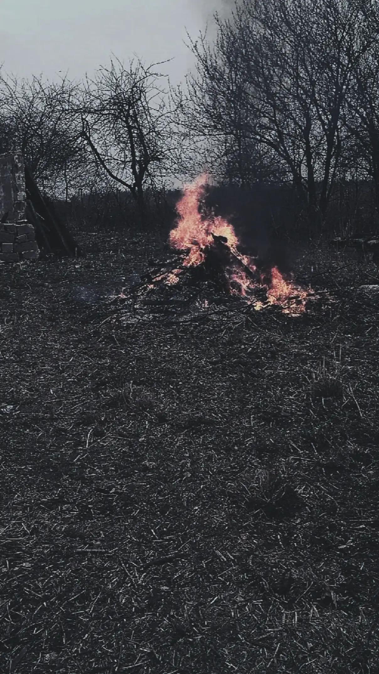 @Александр (Шурик)