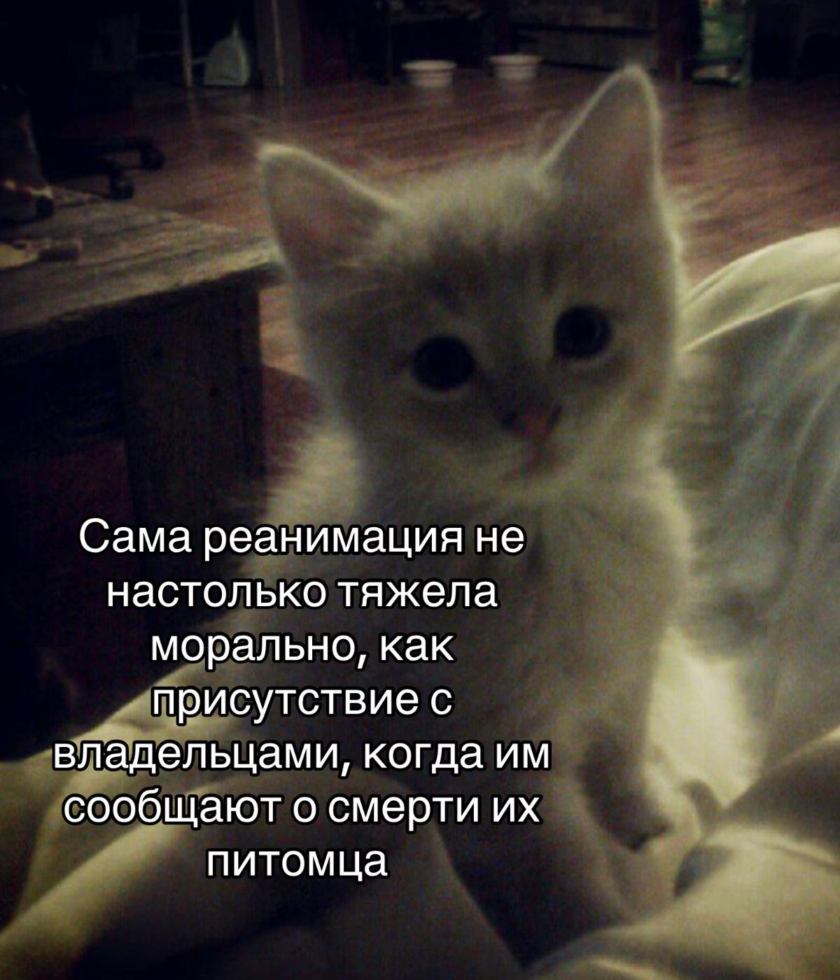 @Бельферг
