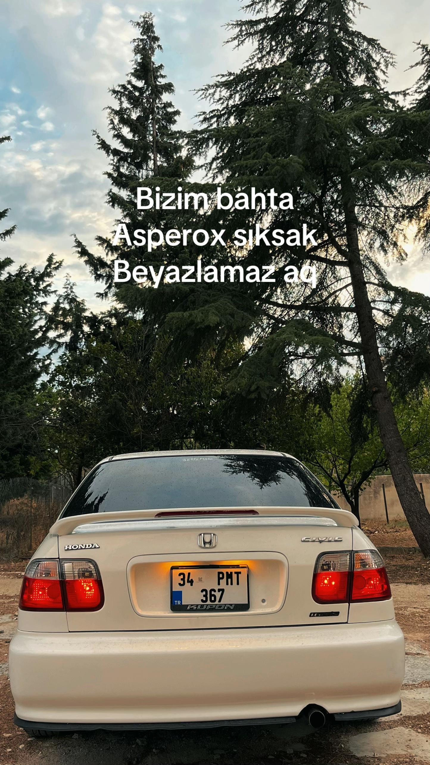 @erol.pmt367
