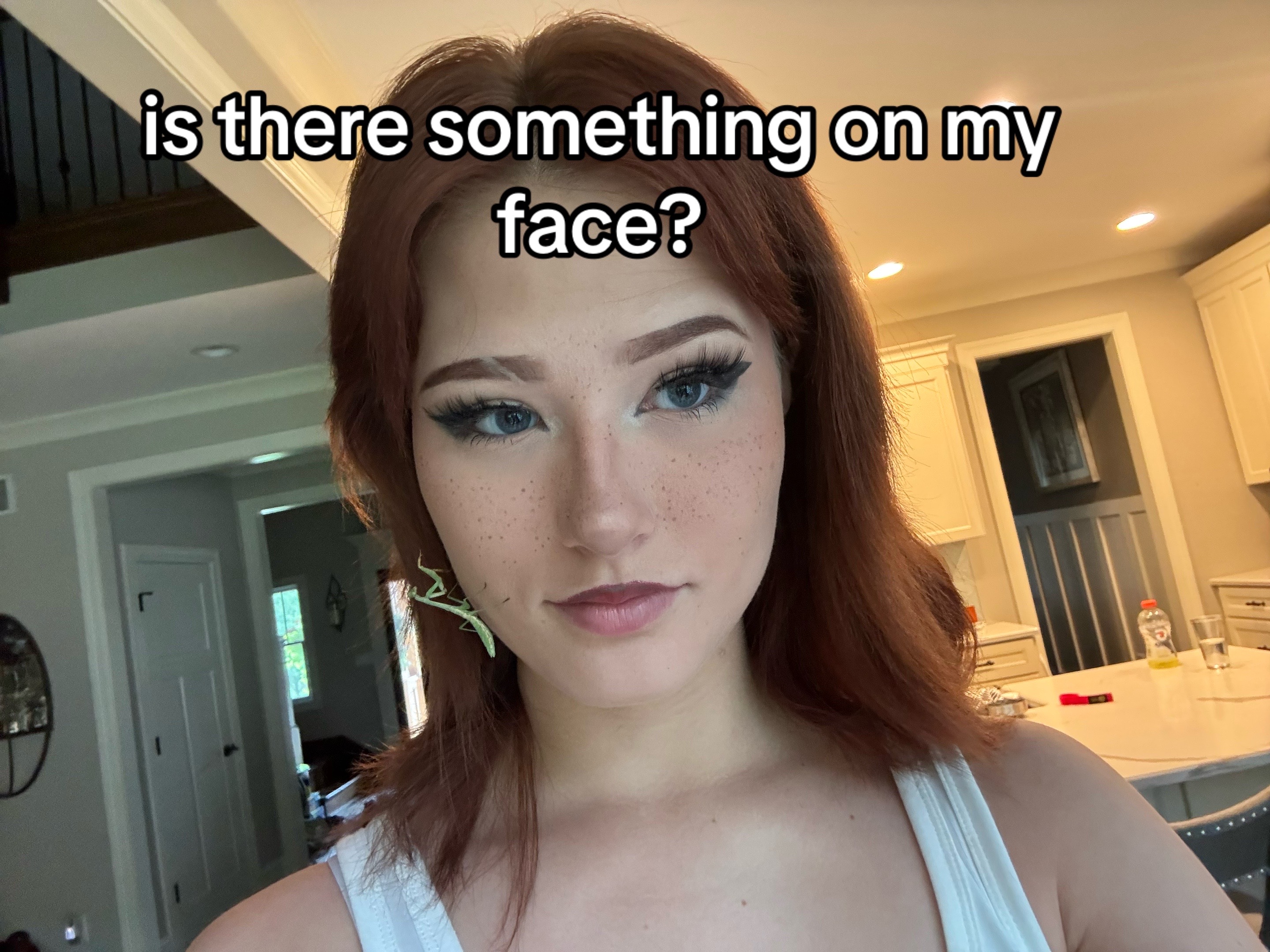 @Paige the bug