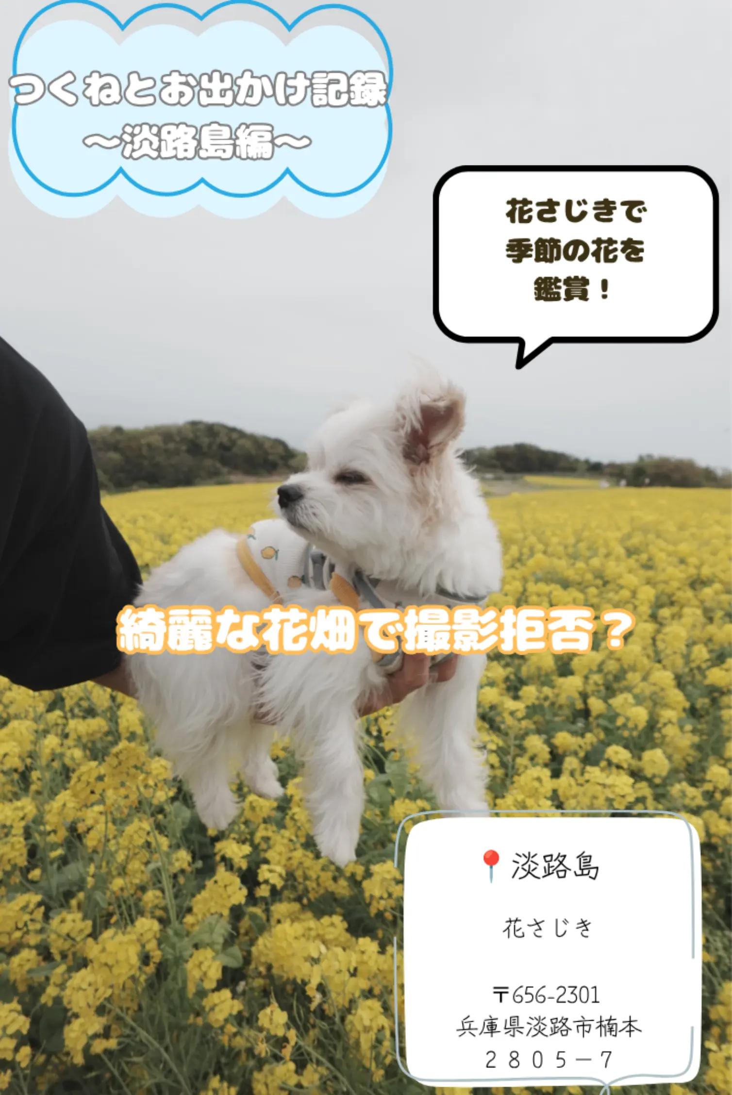 @つくねくん