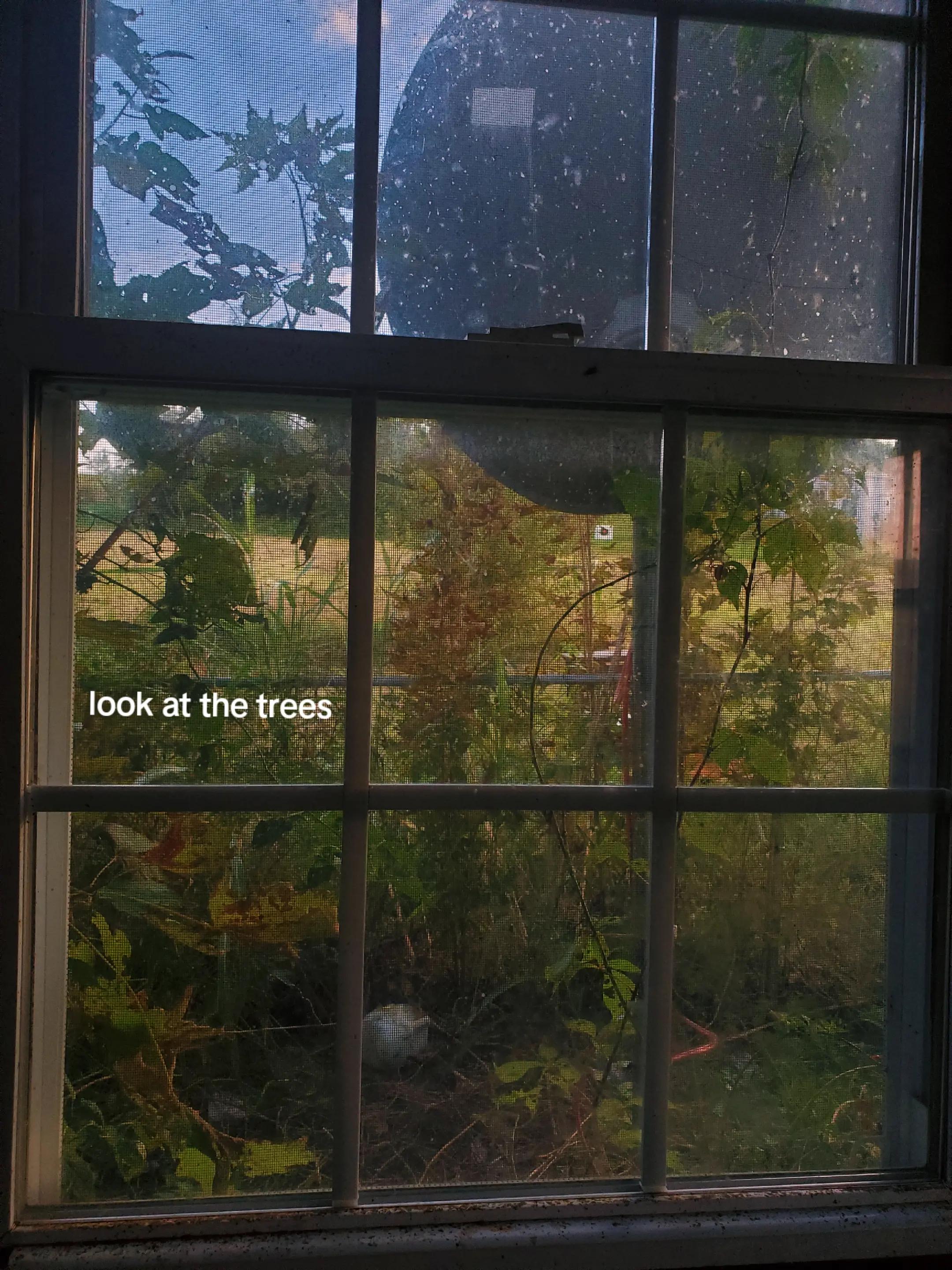 @𝒎𝒂𝒕𝒕𝒂𝒍𝒆𝒏𝒆❾¾
