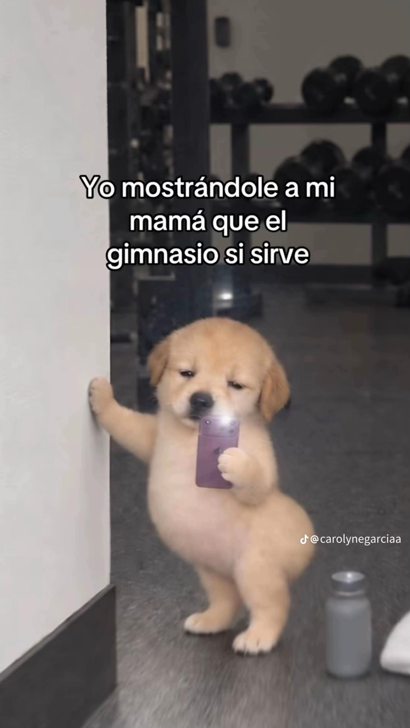 @Camila