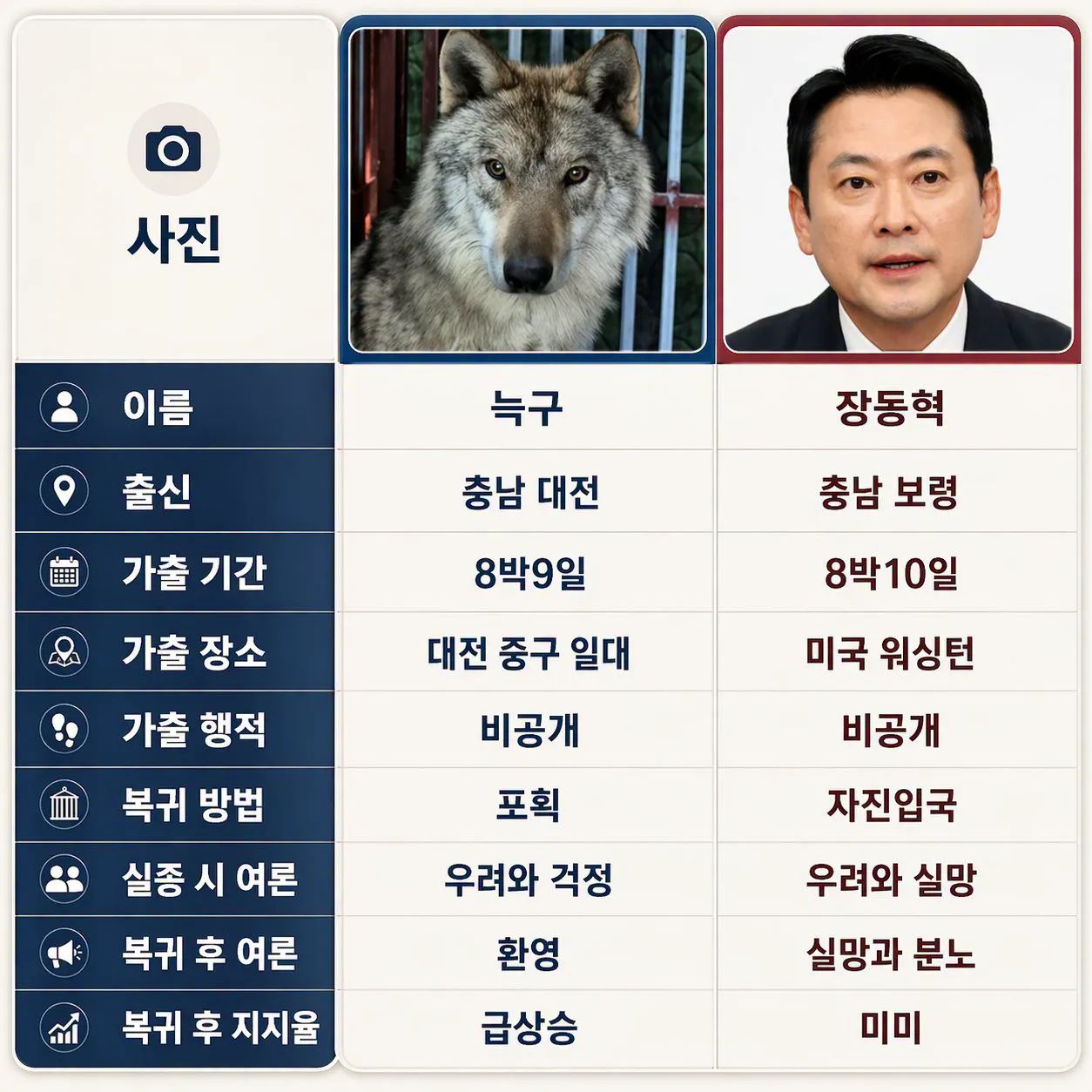 @Team Dokdo